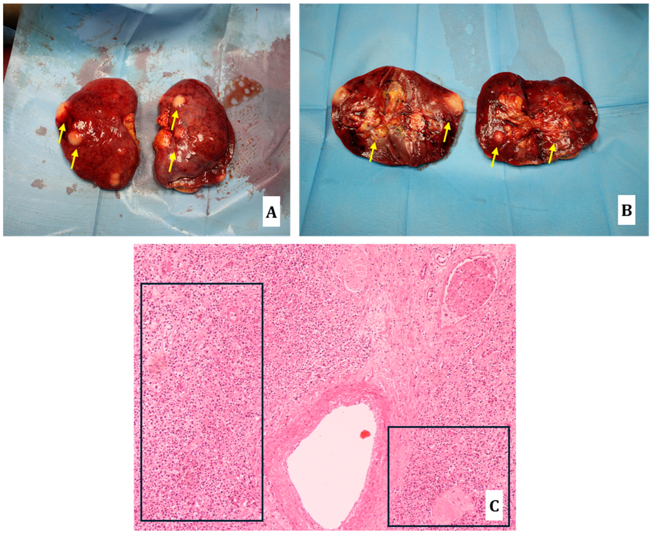 Diagnostics 14 01901 g006