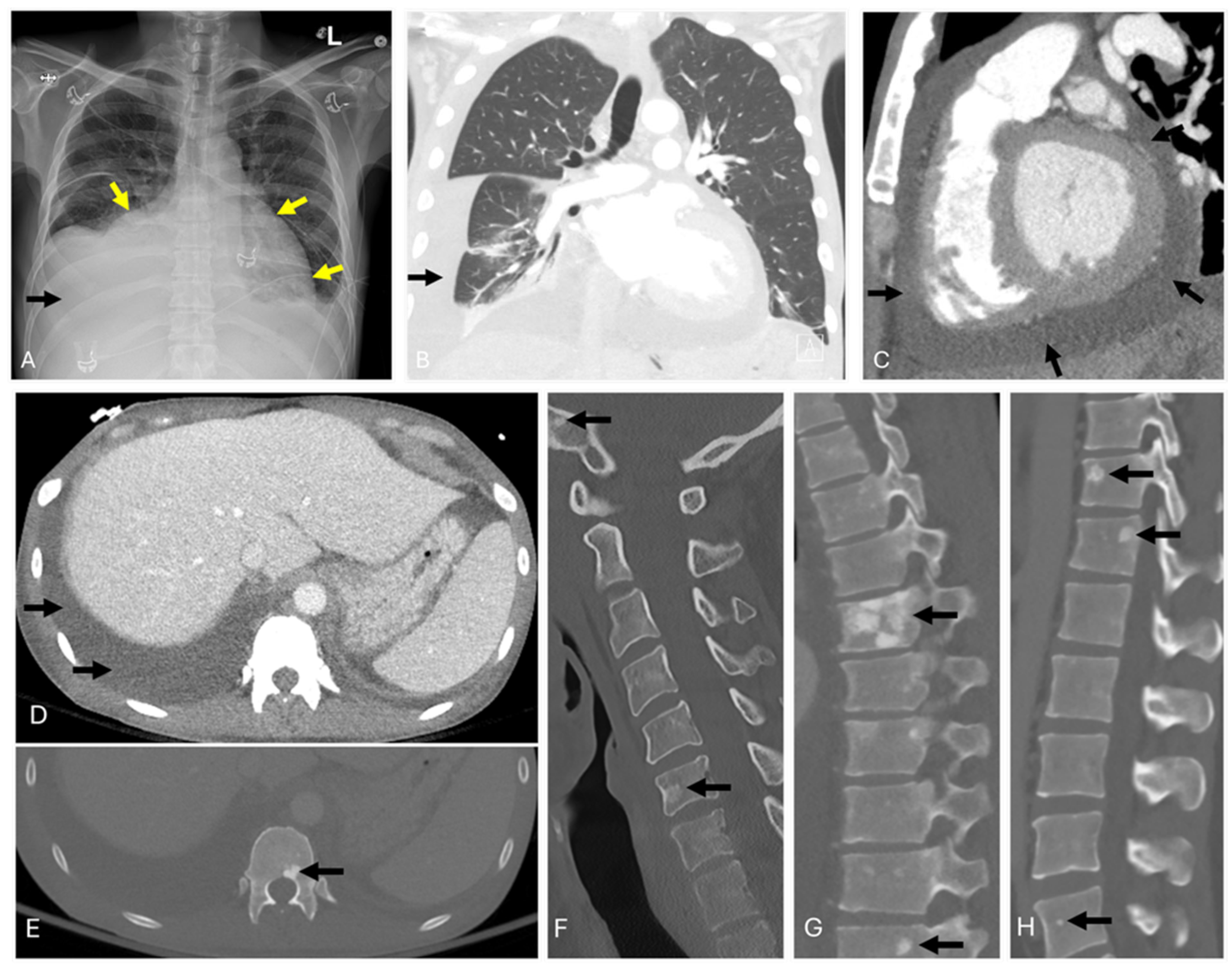Diagnostics 14 01907 g001