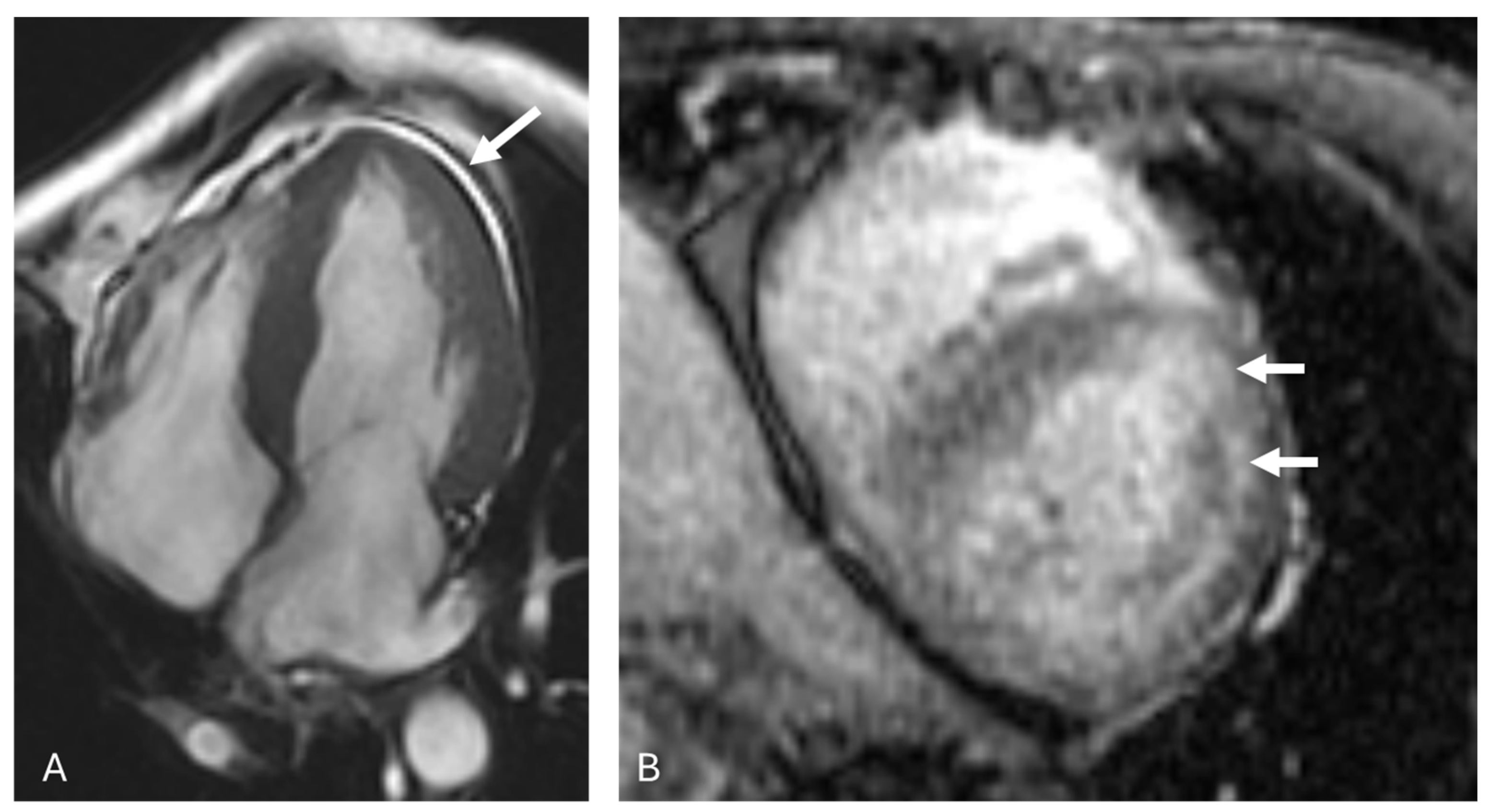 Diagnostics 14 01907 g002