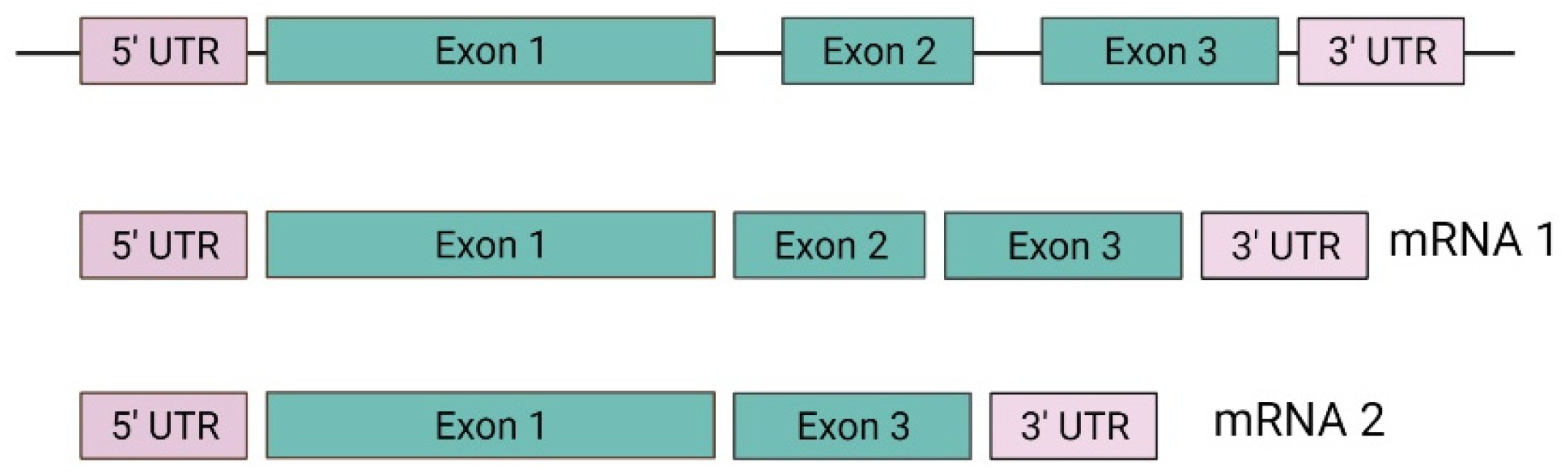 Diagnostics 14 01909 g002 Diagnostics 14 01909 g002