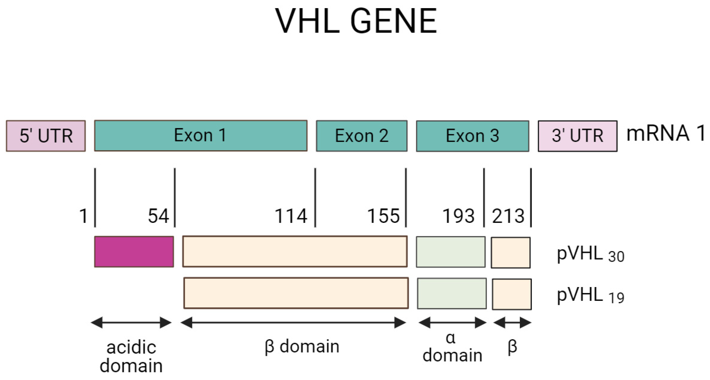 Diagnostics 14 01909 g003 Diagnostics 14 01909 g003