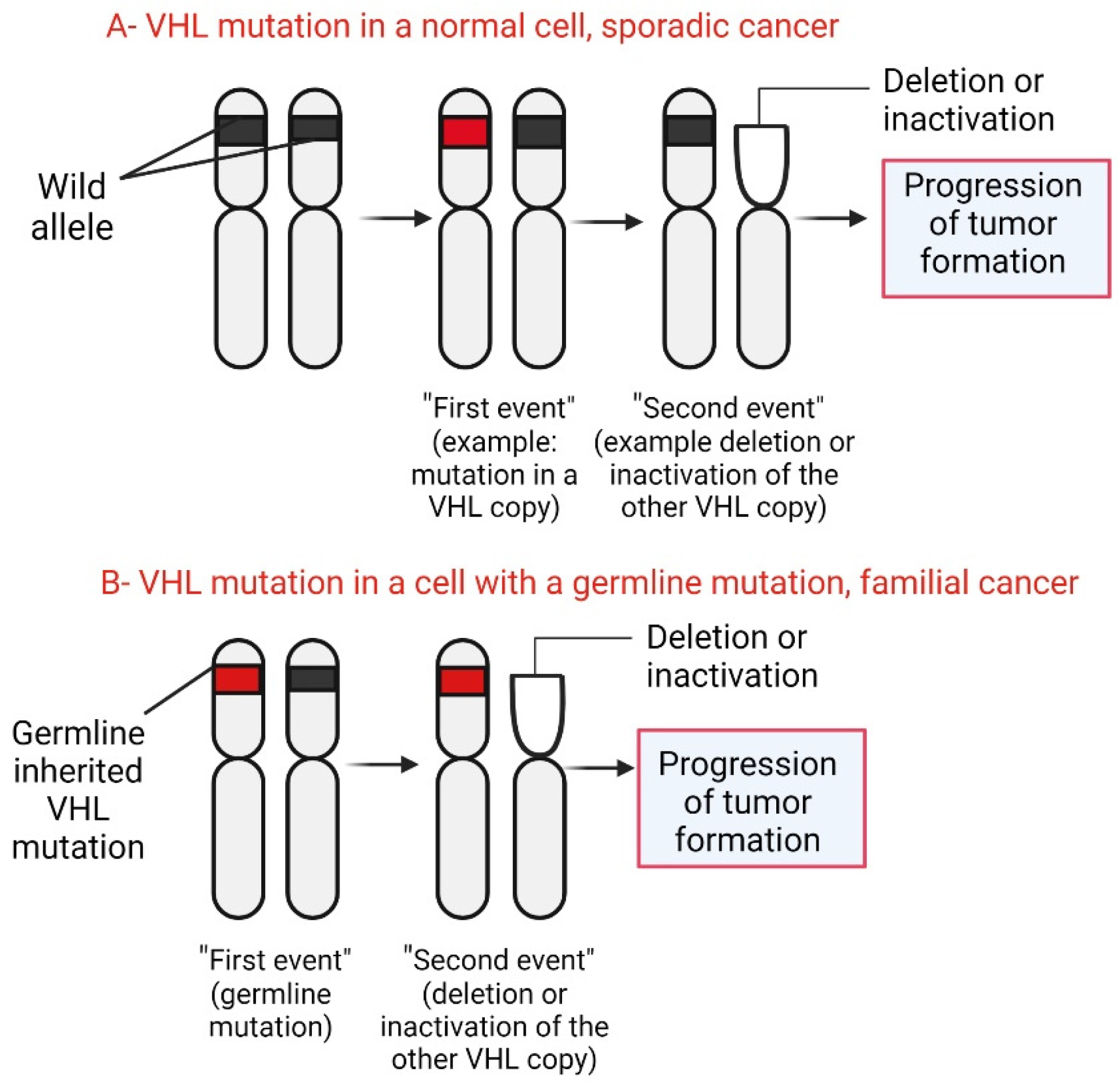 Diagnostics 14 01909 g005 Diagnostics 14 01909 g005