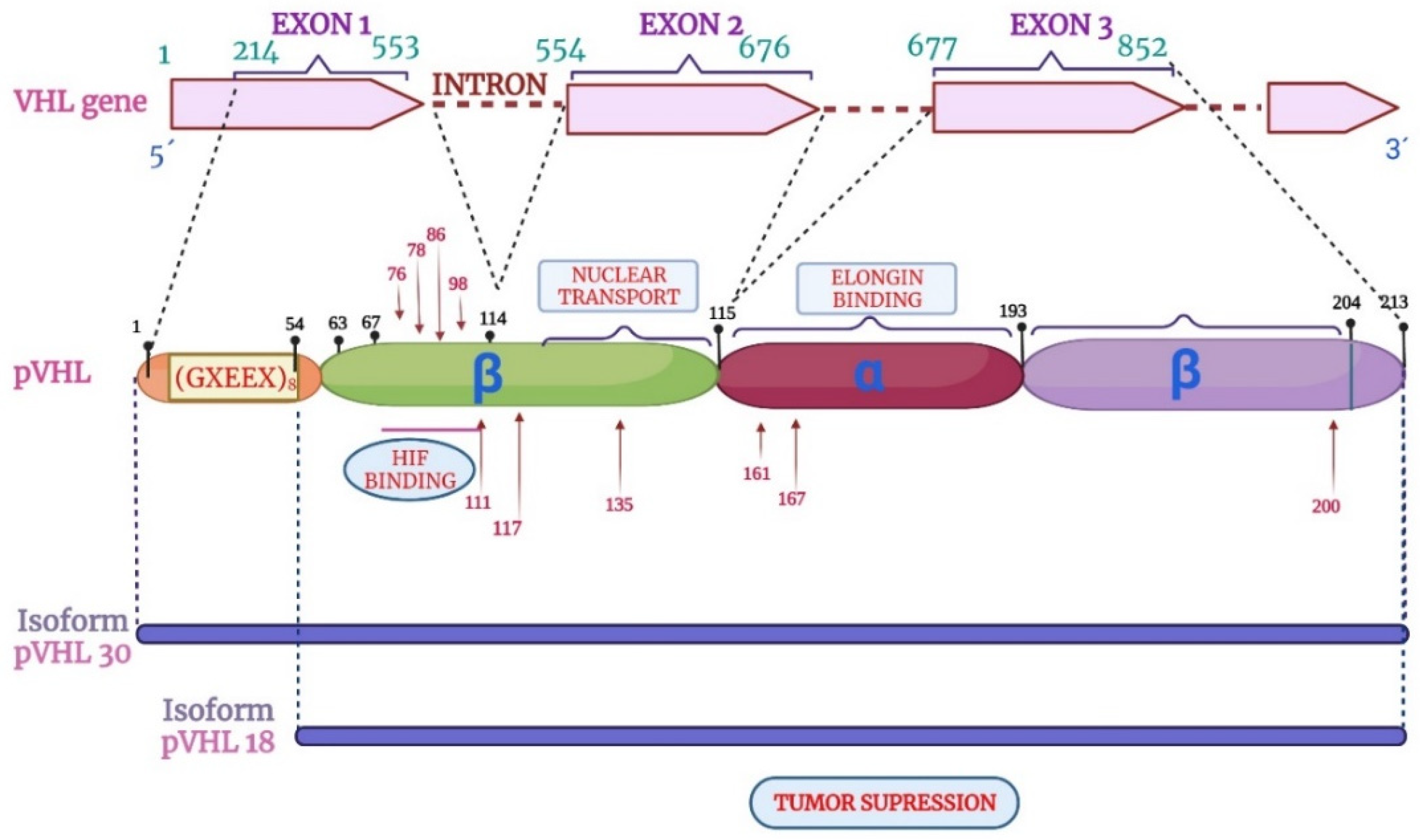 Diagnostics 14 01909 g006 Diagnostics 14 01909 g006