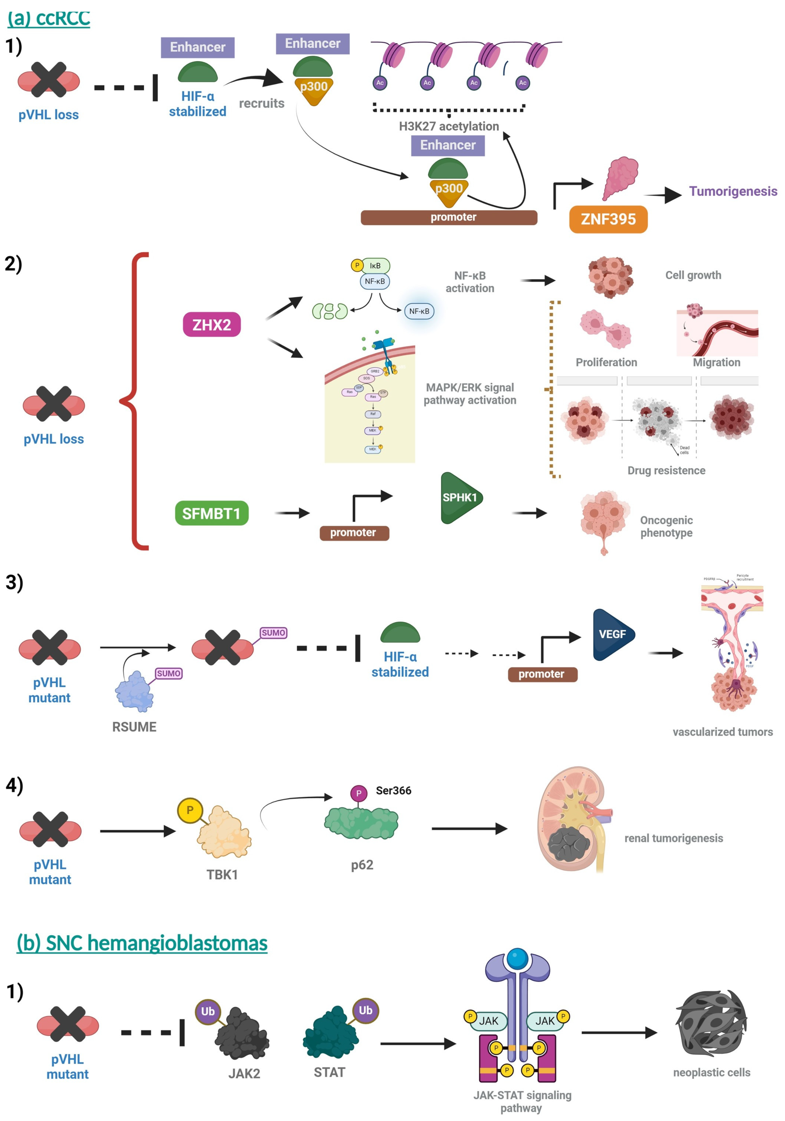 Diagnostics 14 01909 g008 Diagnostics 14 01909 g008