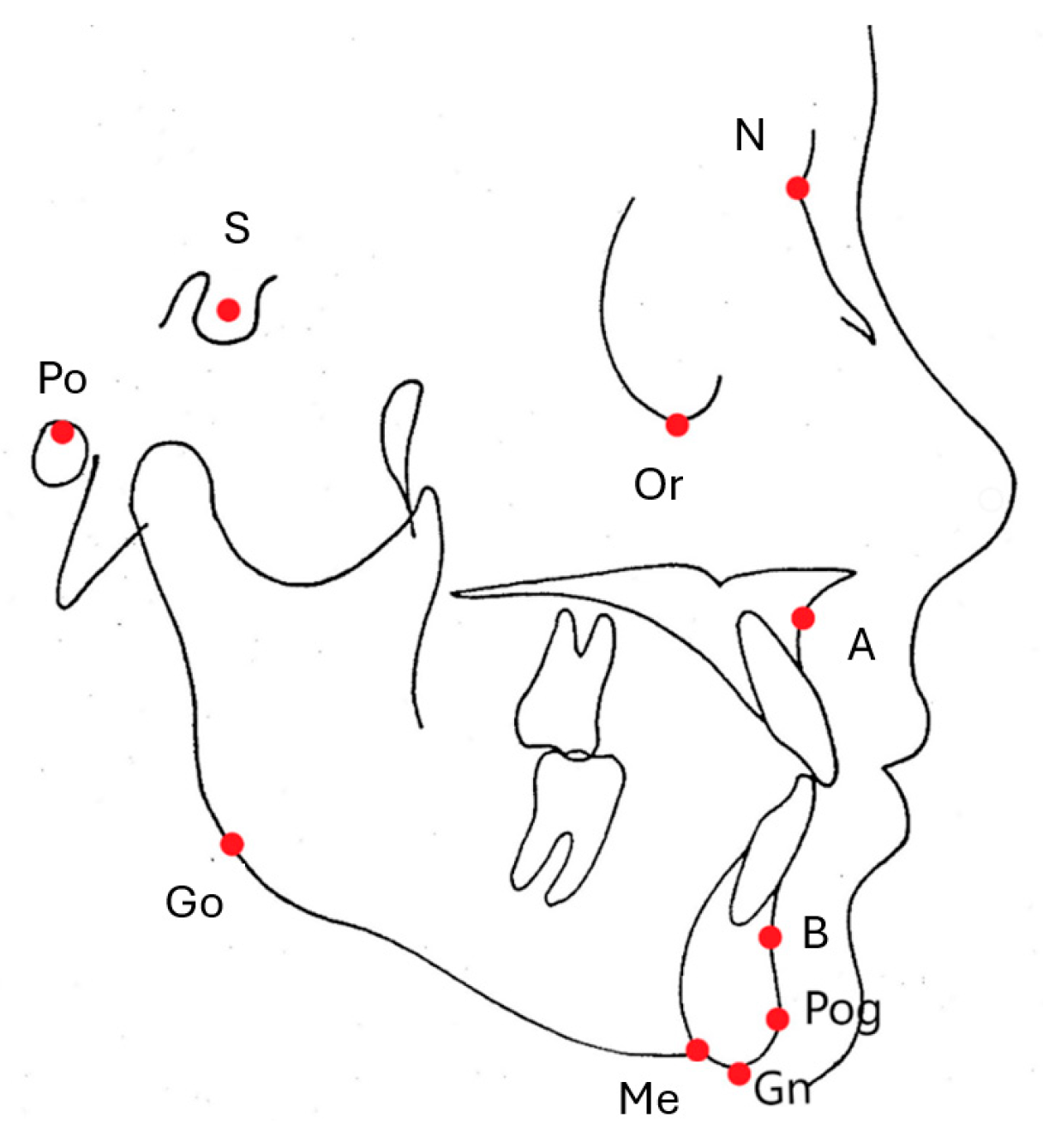 Diagnostics 14 01916 g001