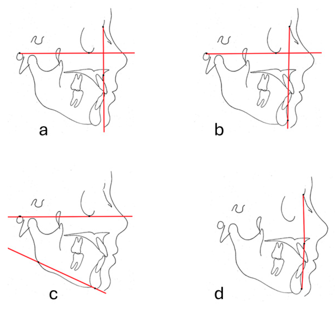 Diagnostics 14 01916 g002