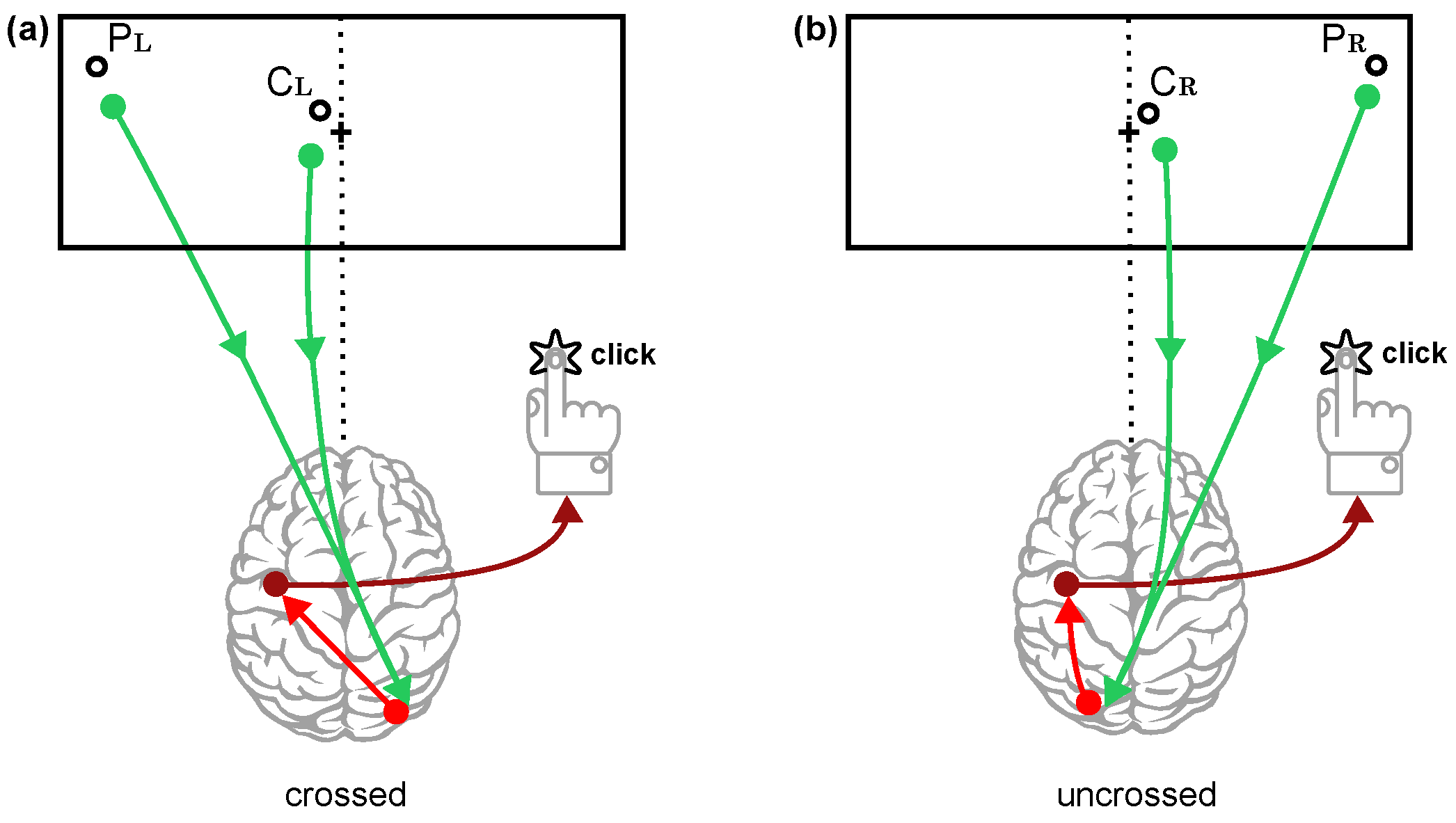 Diagnostics 14 01918 g012 Diagnostics 14 01918 g012
