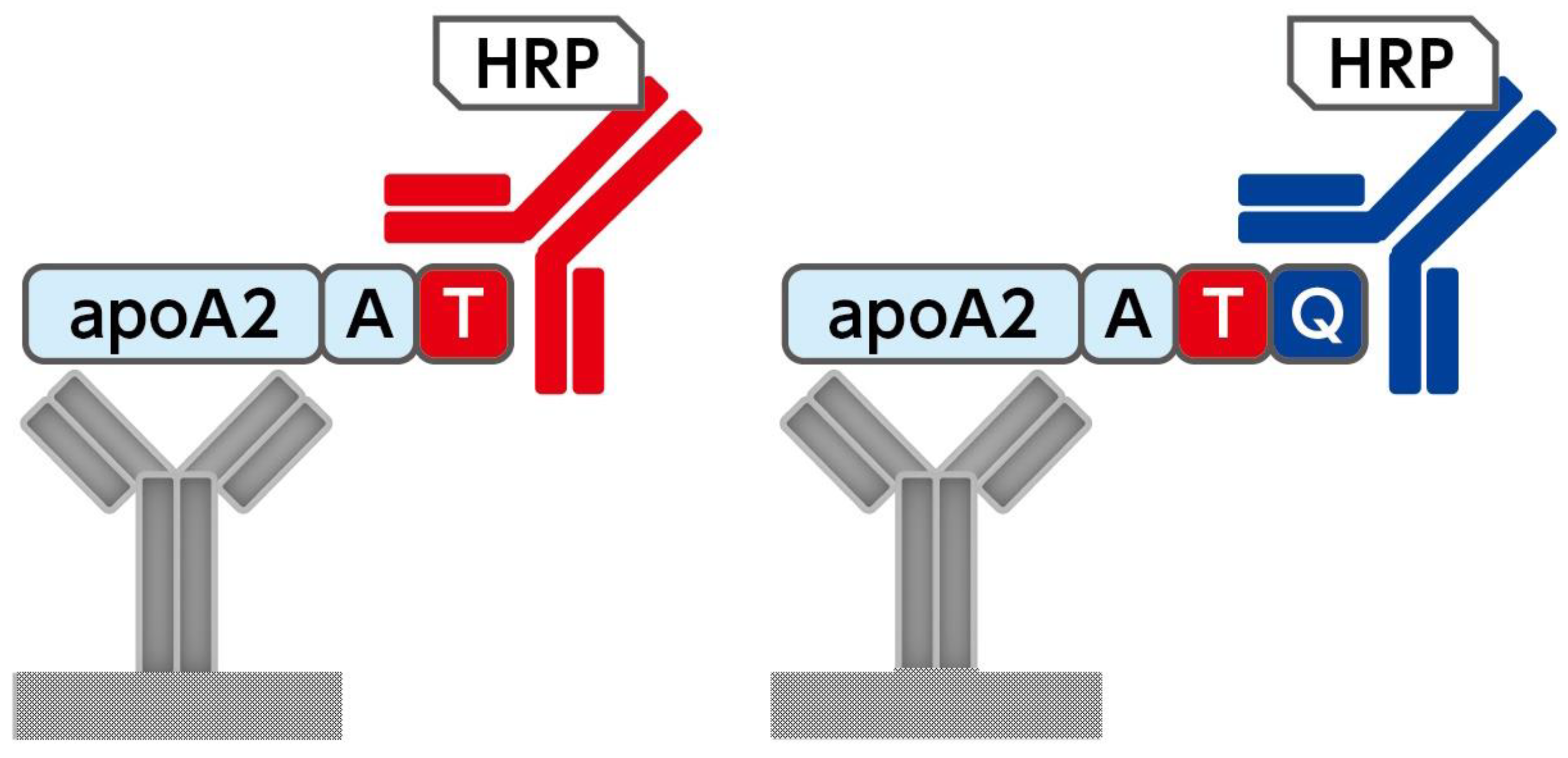 Diagnostics 14 01920 g001