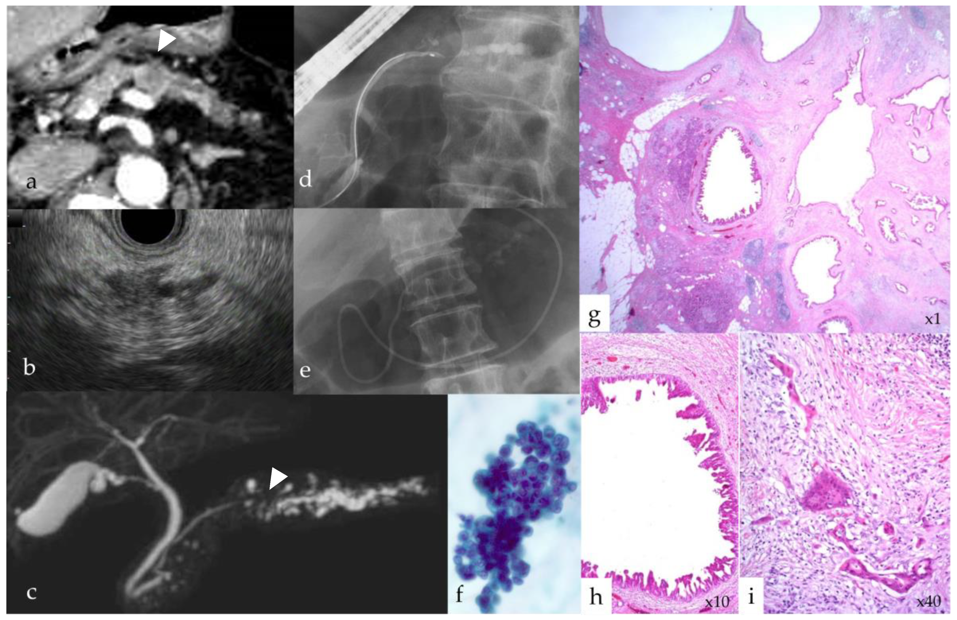 Diagnostics 14 01920 g006