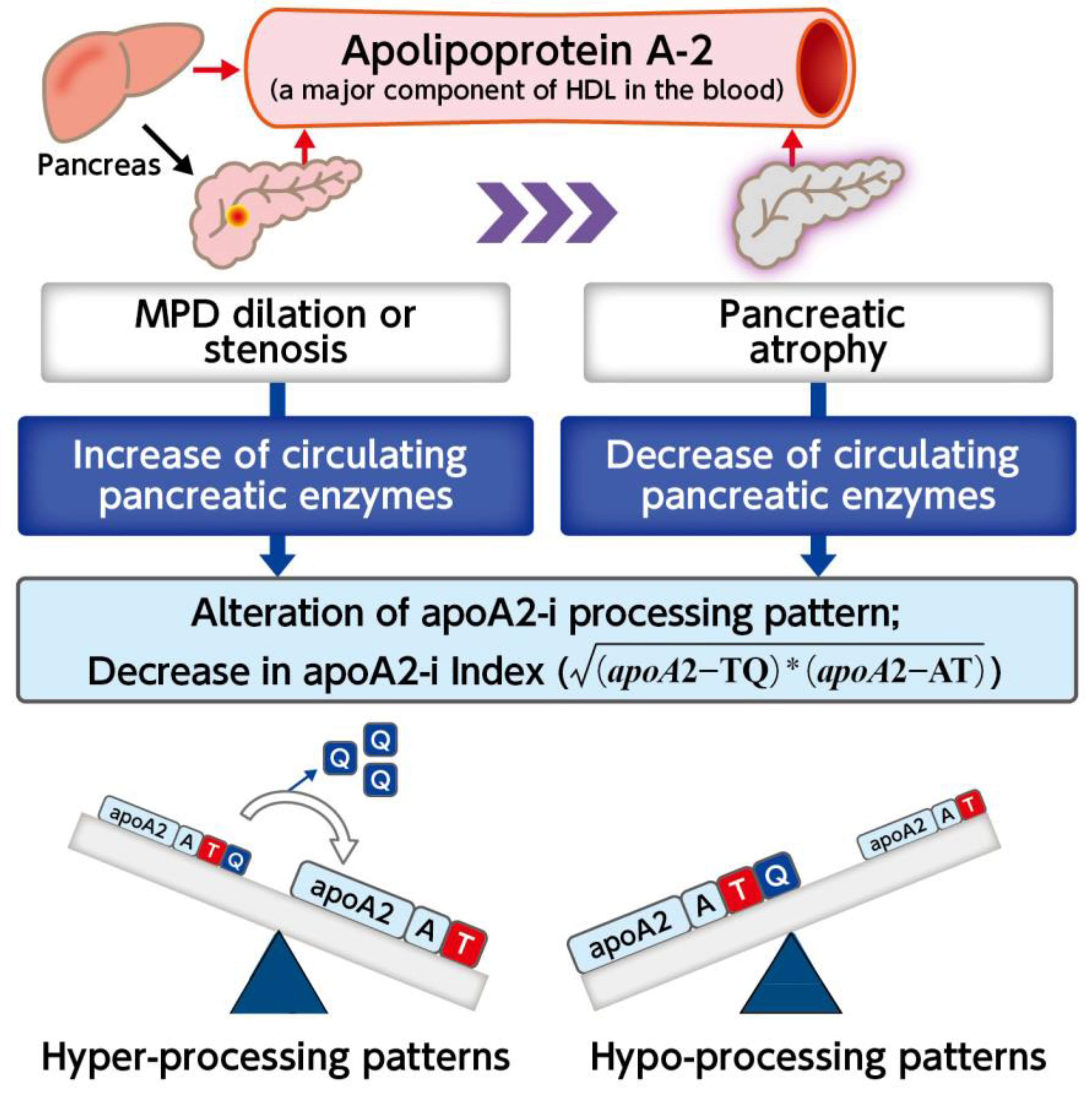 Diagnostics 14 01920 g007