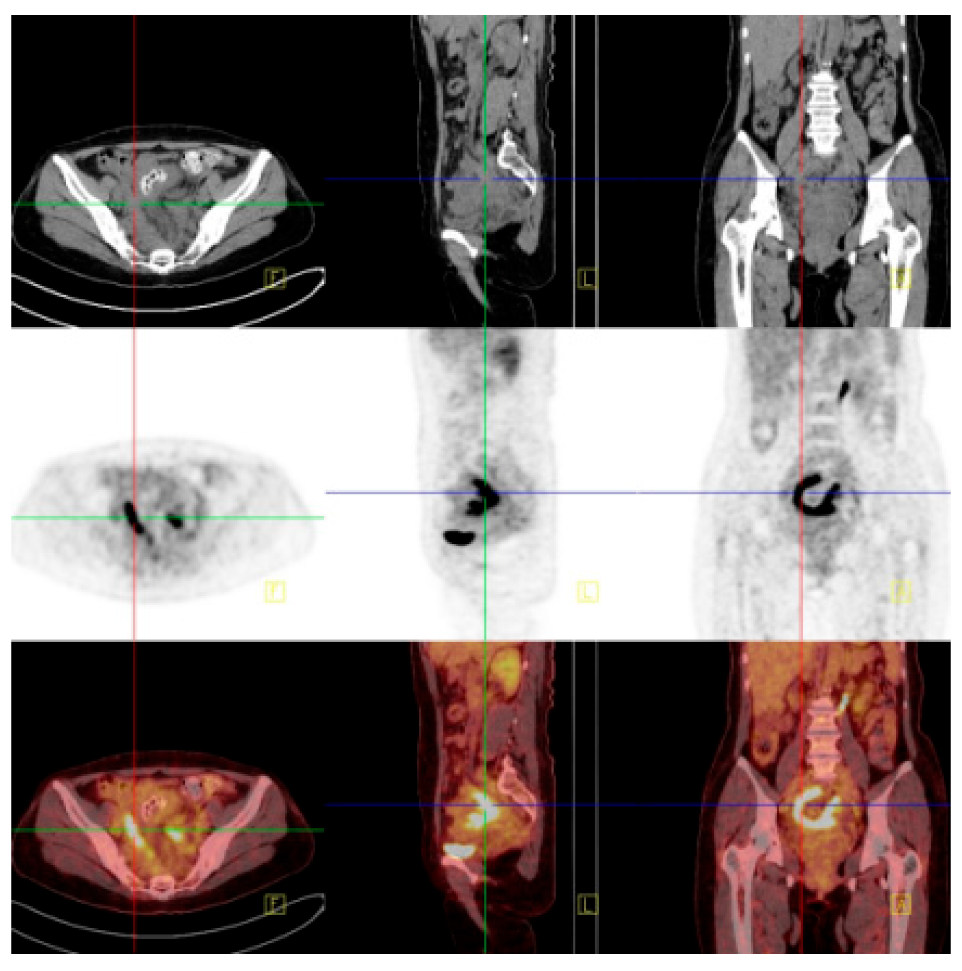 Diagnostics 14 01923 g002