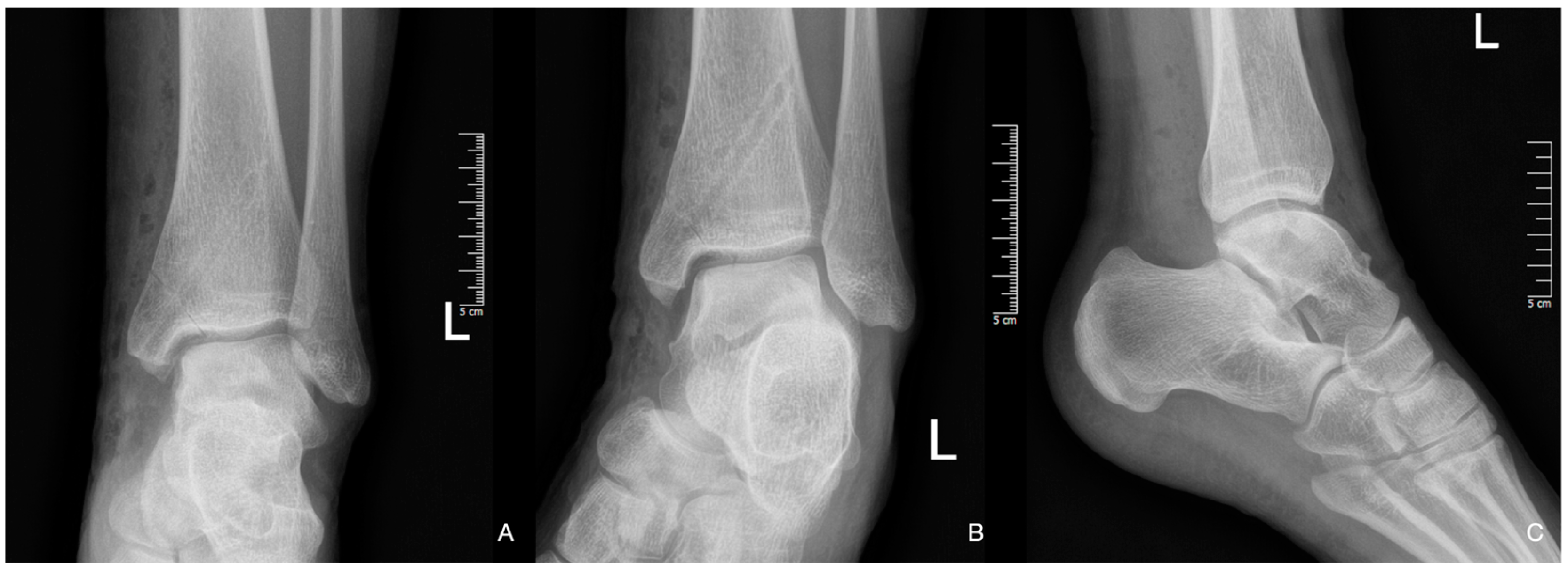 Diagnostics 14 01931 g005