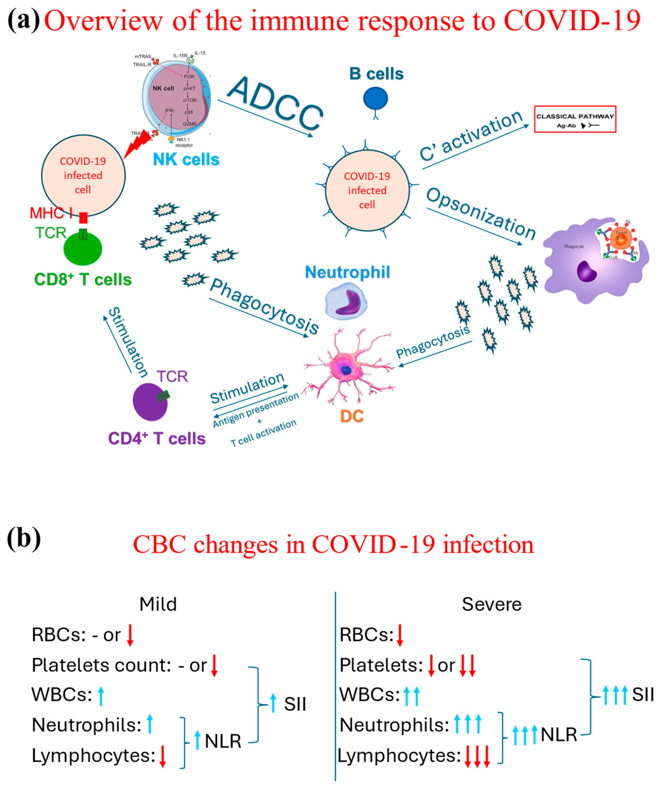 Diagnostics 14 01933 g002