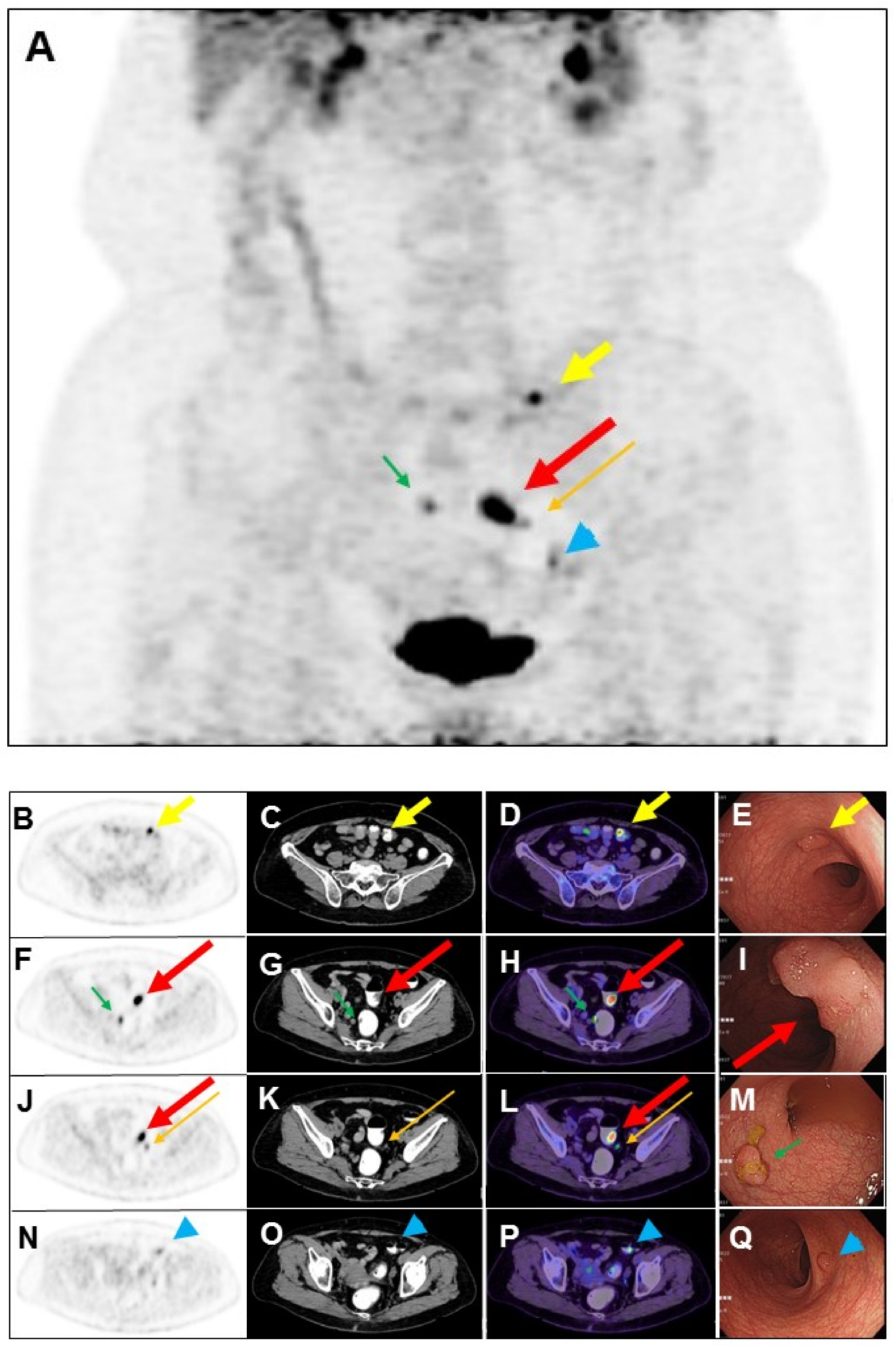 Diagnostics 14 01936 g002