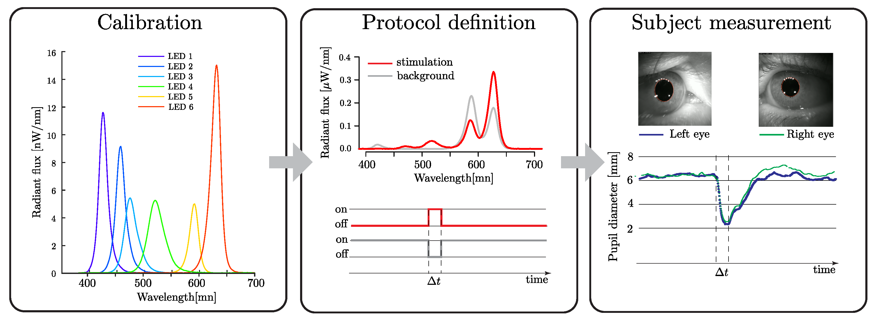 Diagnostics 14 01940 g003 Diagnostics 14 01940 g003