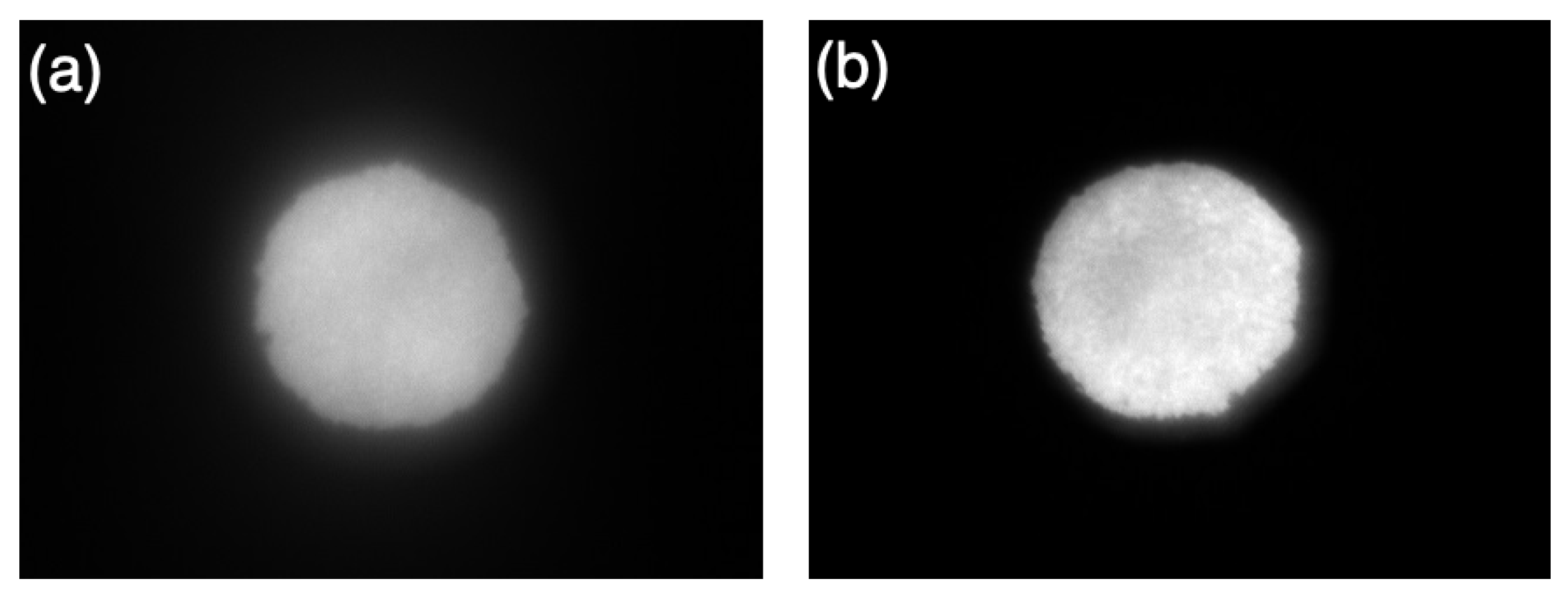 Diagnostics 14 01940 g007 Diagnostics 14 01940 g007