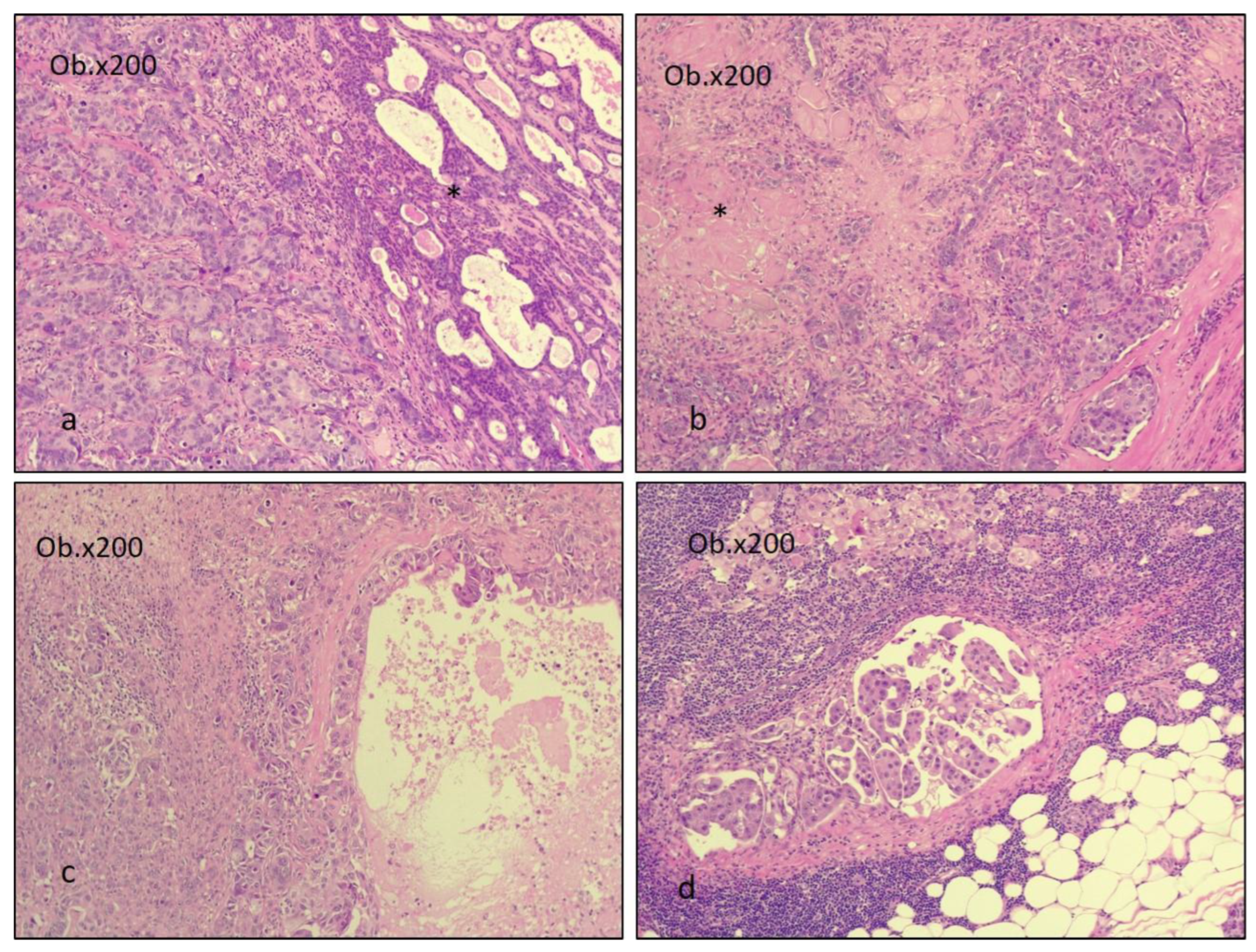 Diagnostics 14 01942 g003