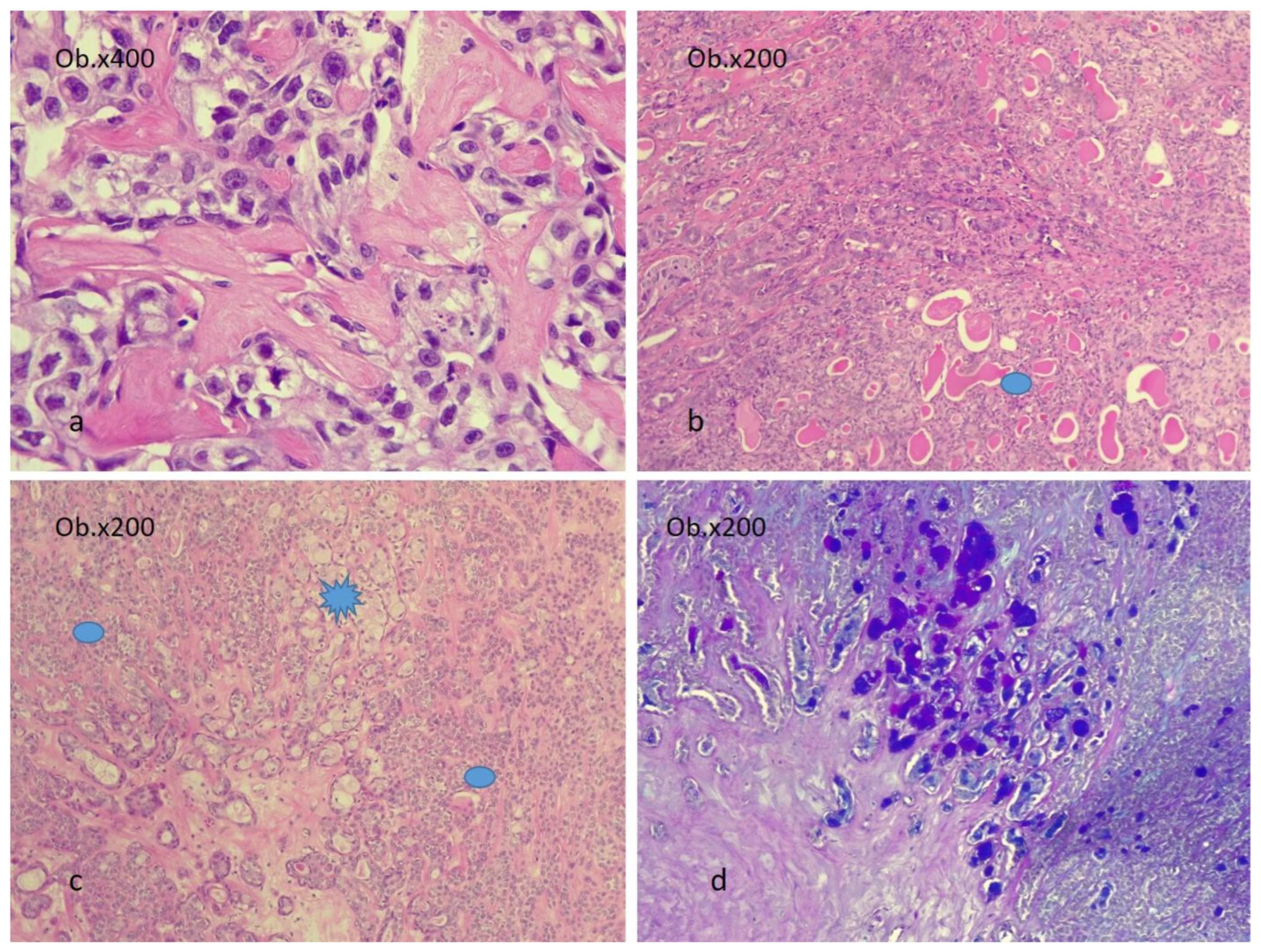 Diagnostics 14 01942 g004