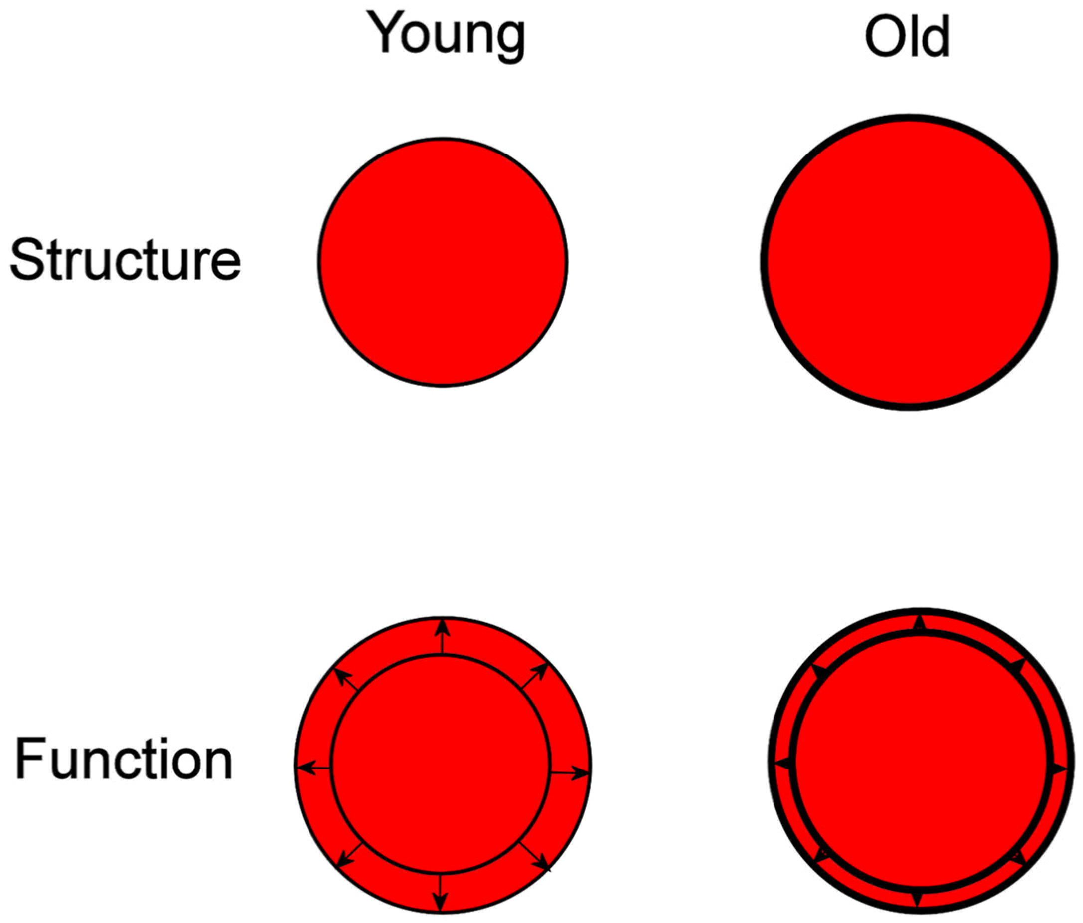 Diagnostics 14 01947 g001 Diagnostics 14 01947 g001