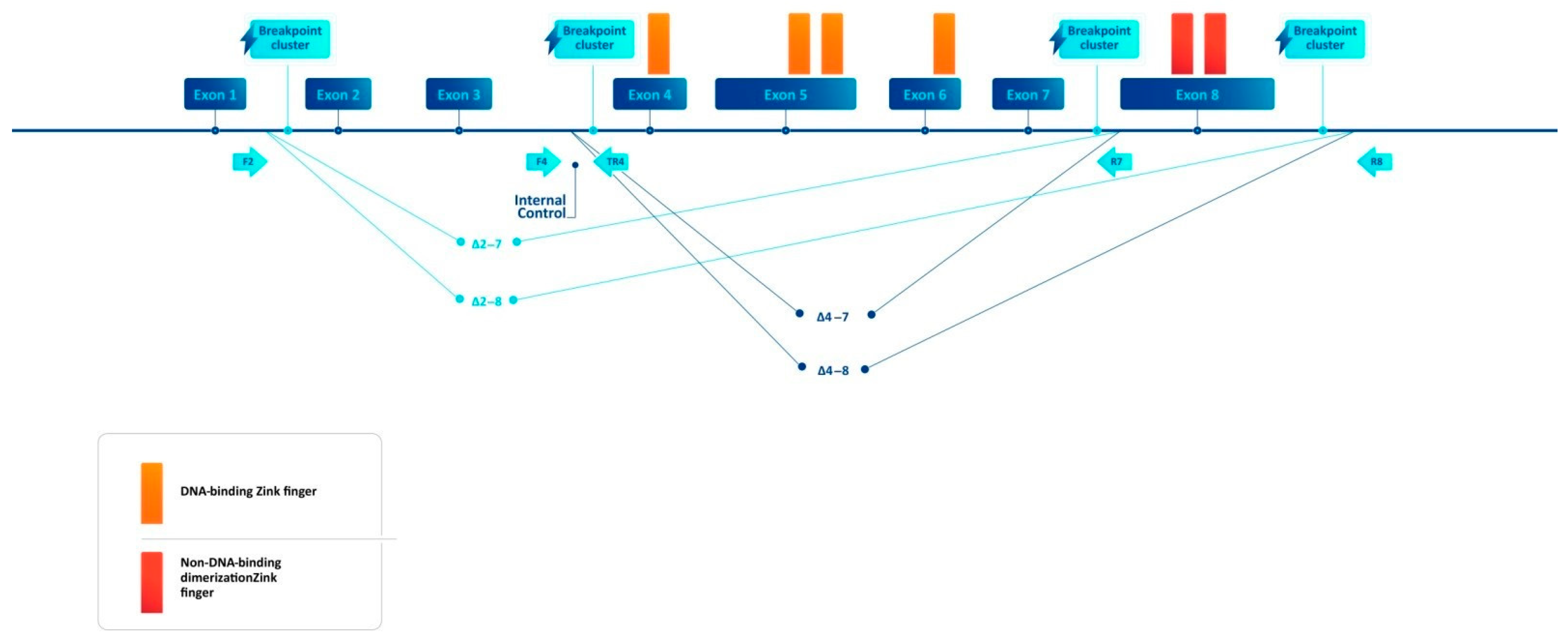 Diagnostics 14 01953 g001