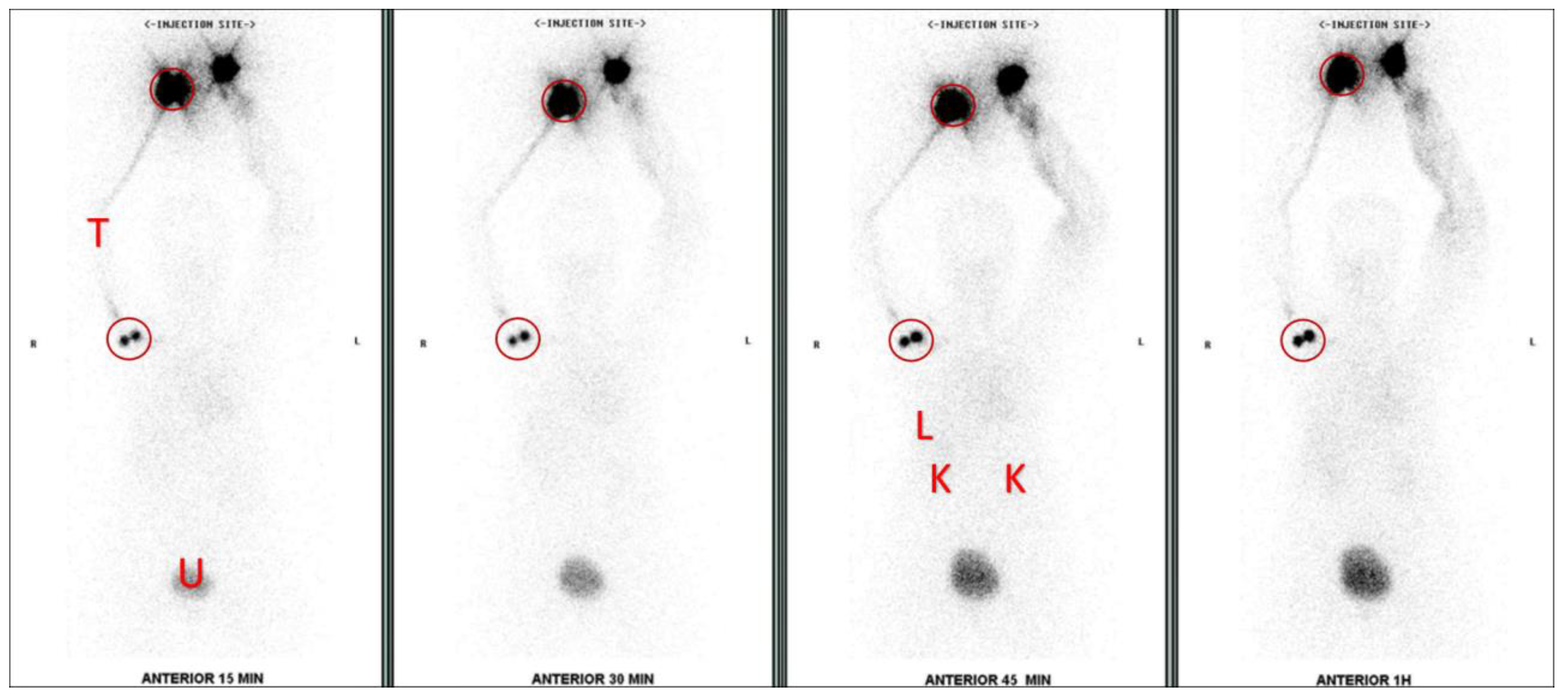 Diagnostics 14 01960 g001 Diagnostics 14 01960 g001