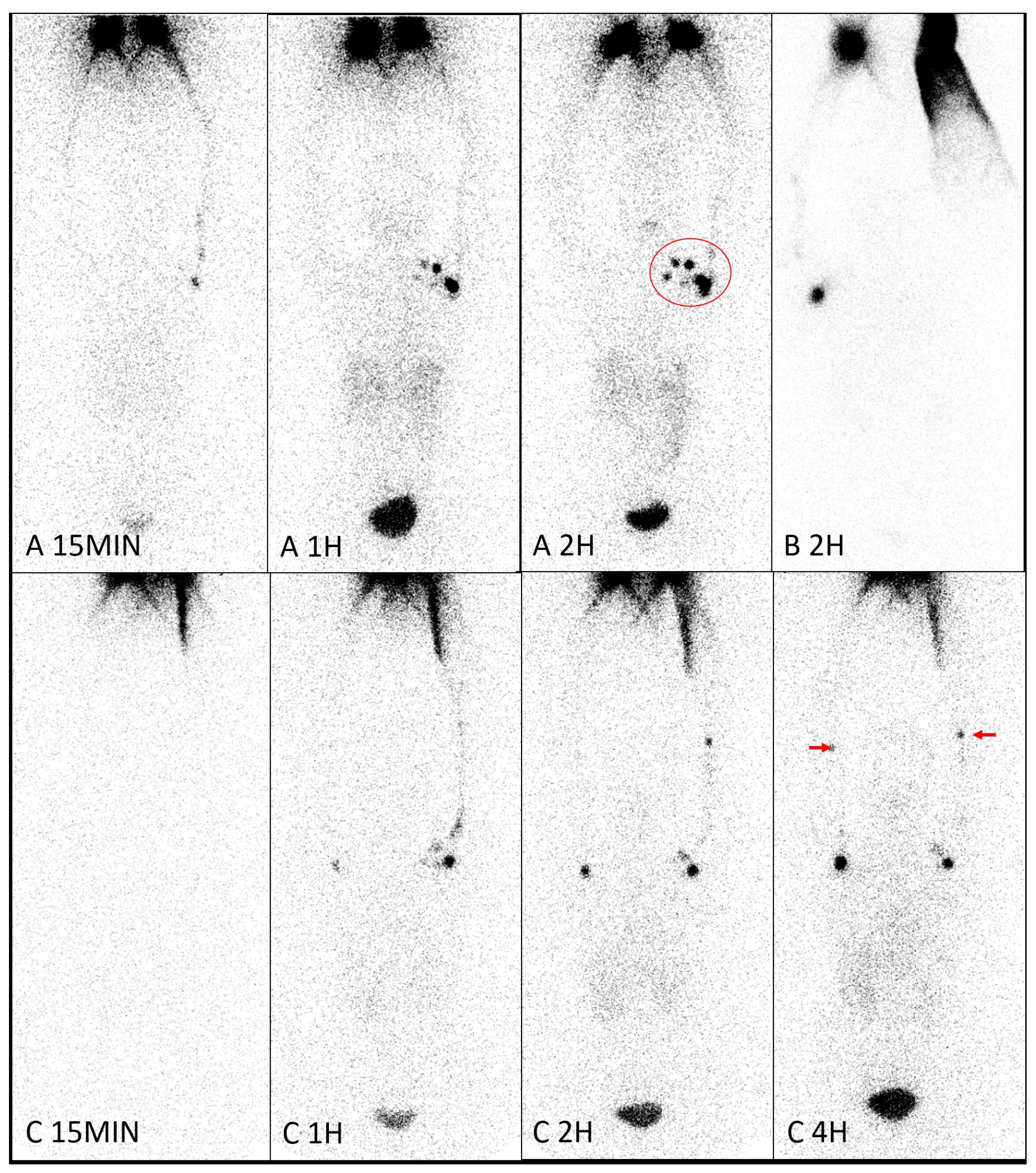 Diagnostics 14 01960 g003 Diagnostics 14 01960 g003