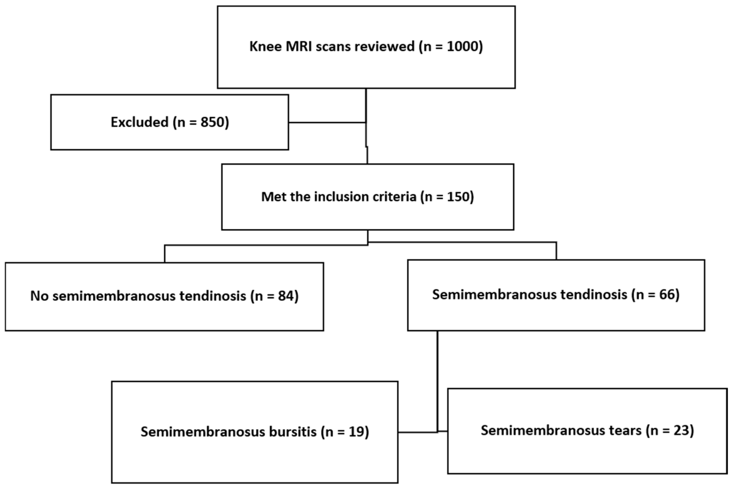 Diagnostics 14 01962 g004 Diagnostics 14 01962 g004