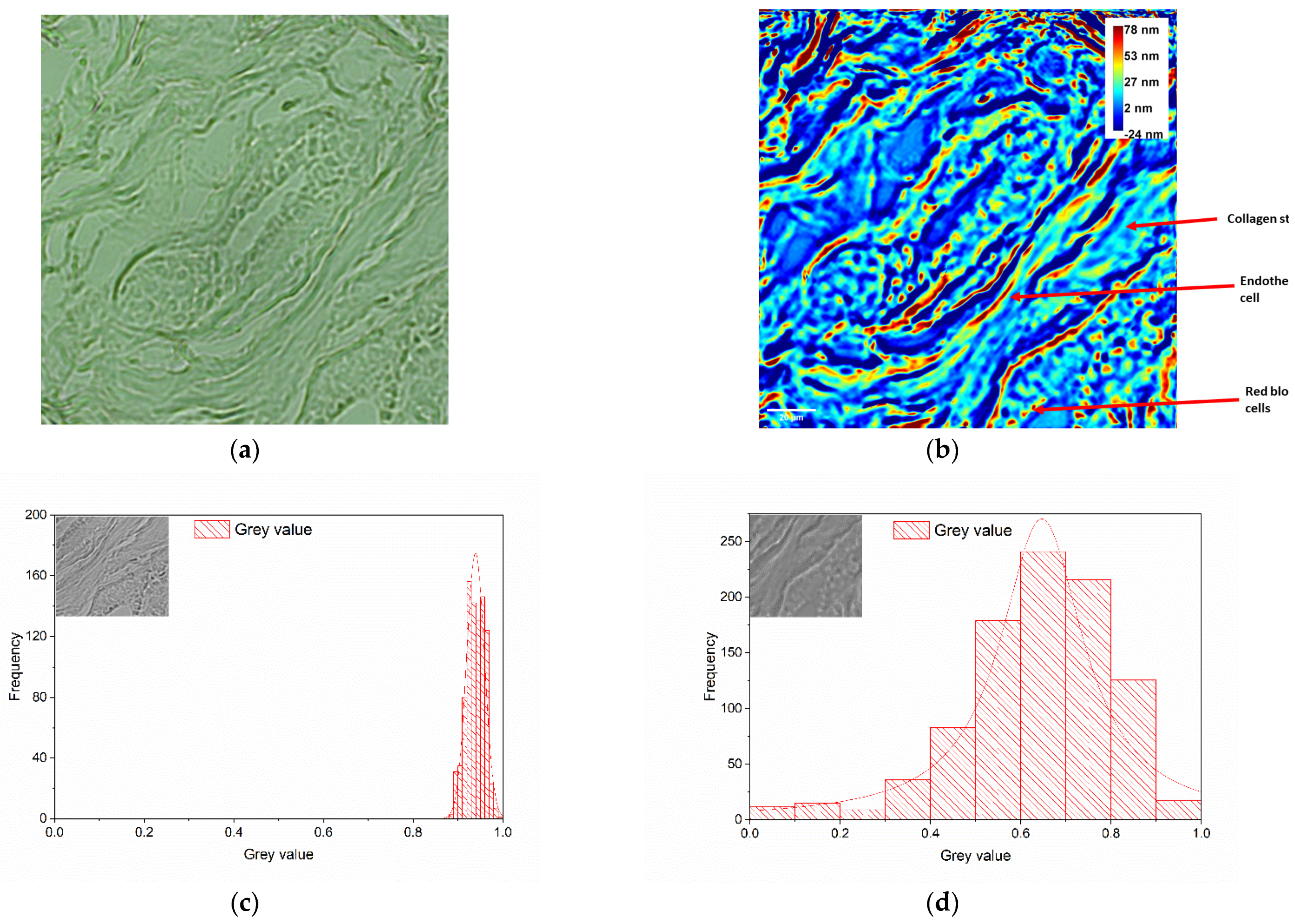 Diagnostics 14 01966 g003