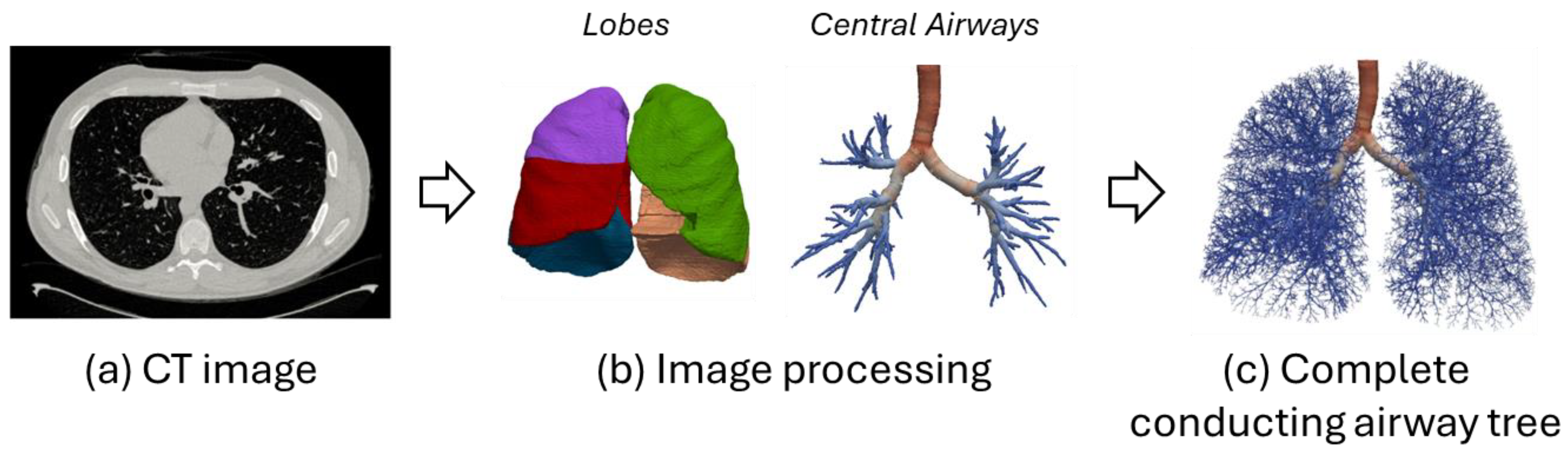 Diagnostics 14 01979 g005 Diagnostics 14 01979 g005