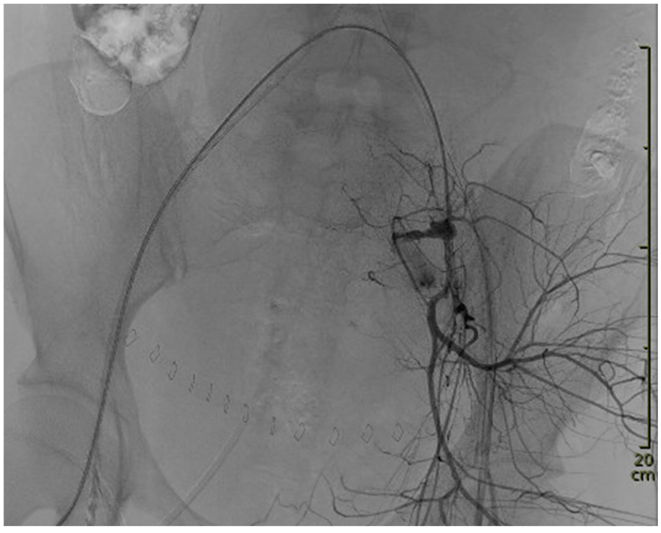 Diagnostics 14 01980 g001