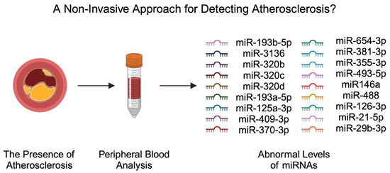 Non-Coding RNA Involved in the Pathogenesis of