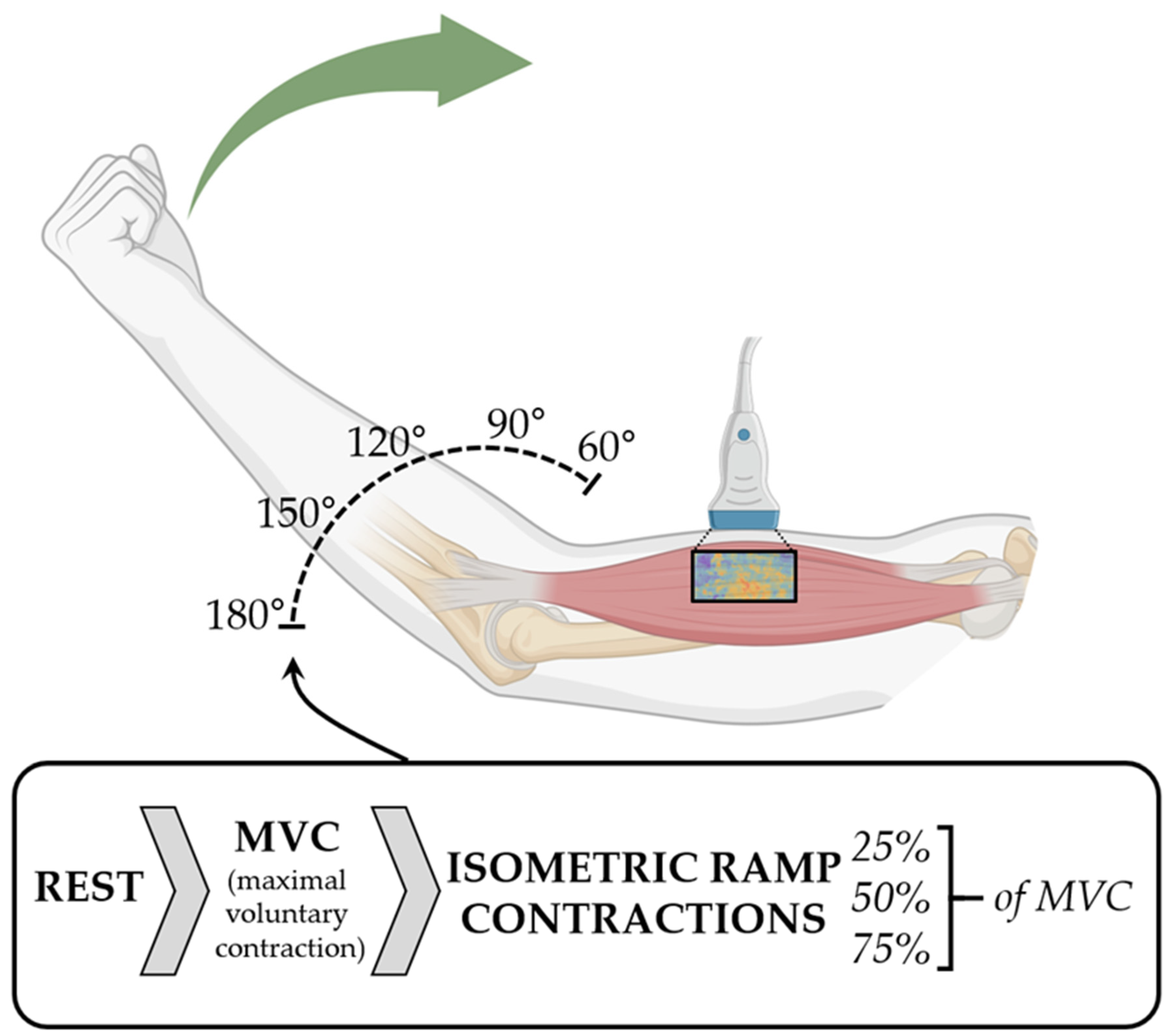 Diagnostics 14 01985 g001
