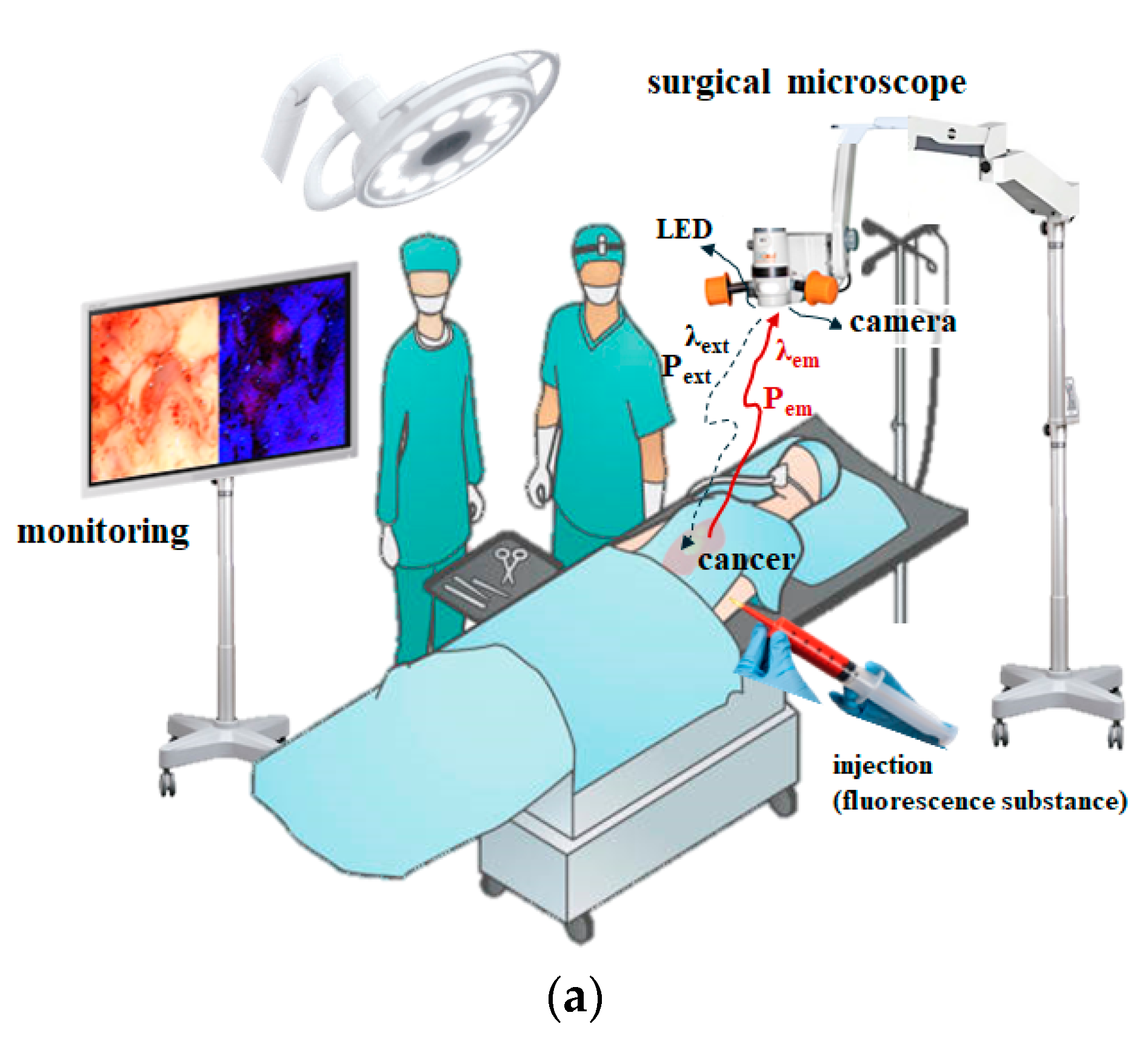 Diagnostics 14 01996 g001a Diagnostics 14 01996 g001a