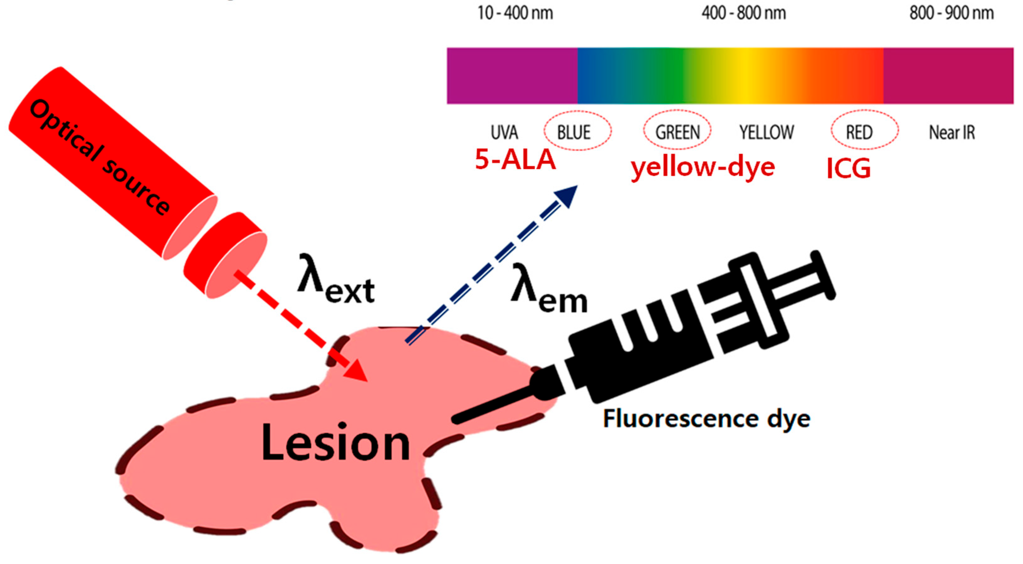 Diagnostics 14 01996 g002 Diagnostics 14 01996 g002