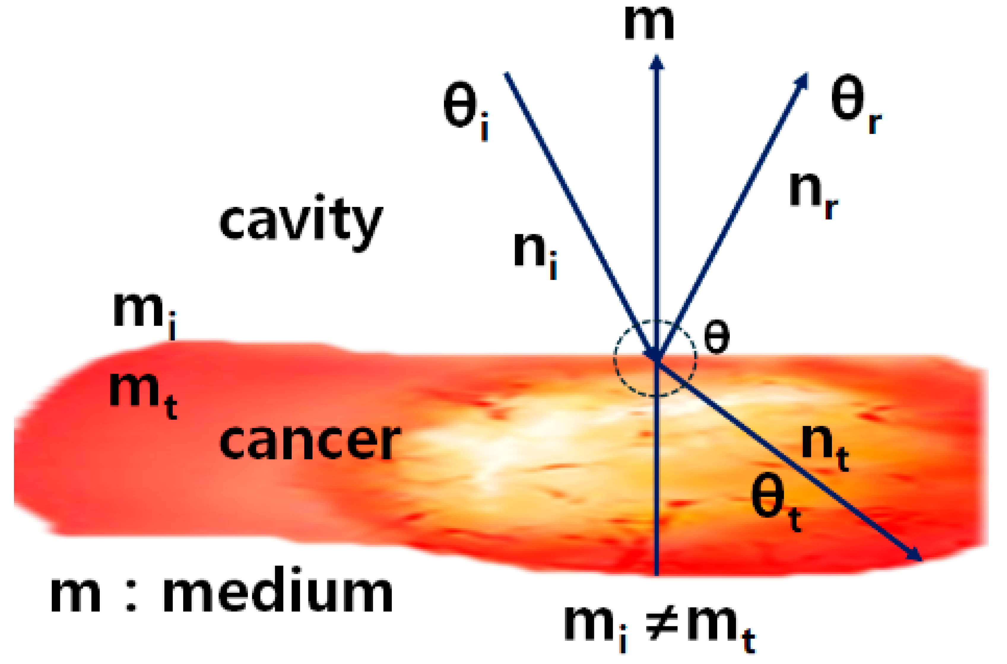 Diagnostics 14 01996 g004 Diagnostics 14 01996 g004