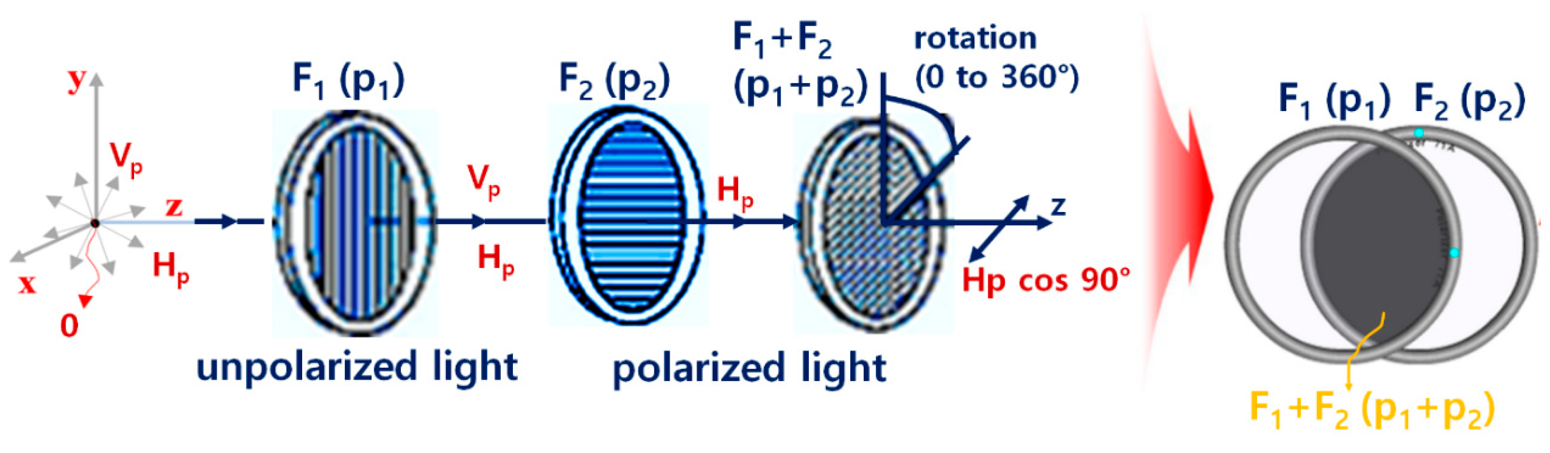 Diagnostics 14 01996 g007 Diagnostics 14 01996 g007