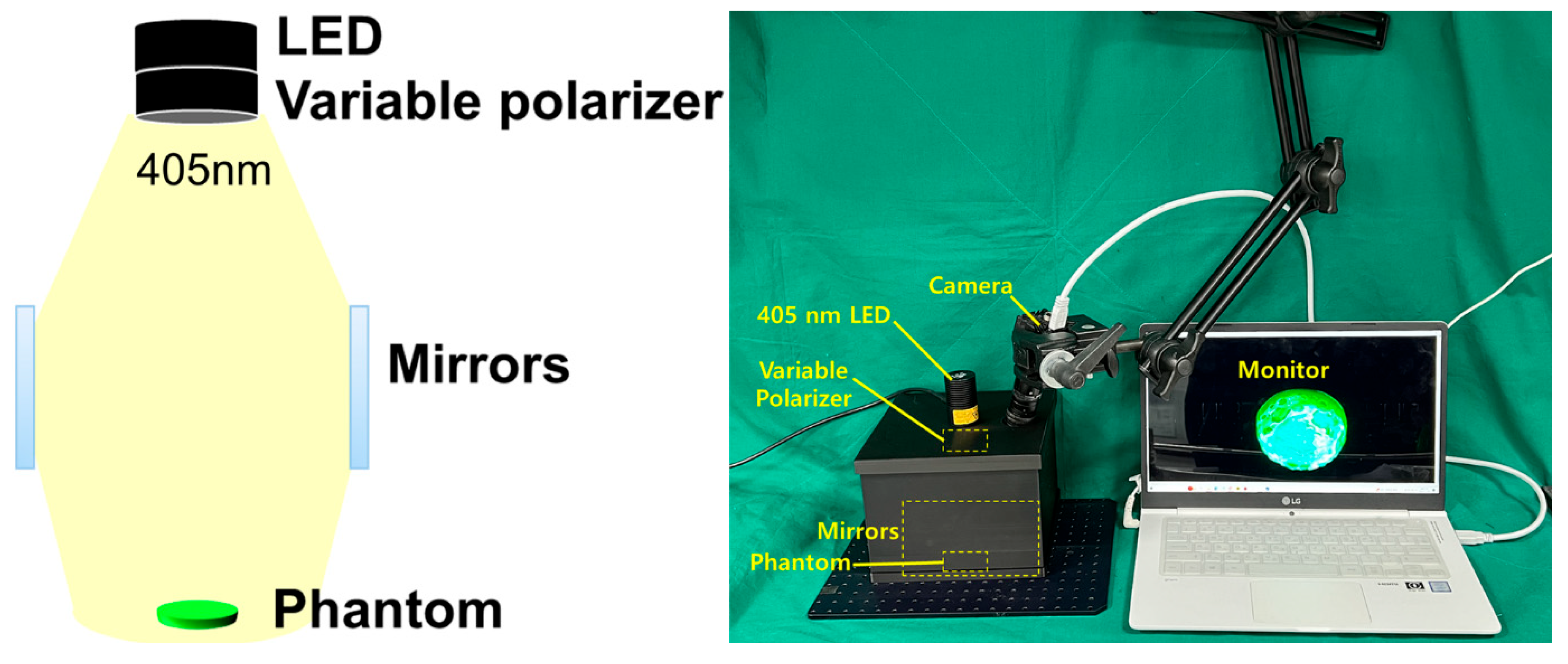 Diagnostics 14 01996 g009 Diagnostics 14 01996 g009