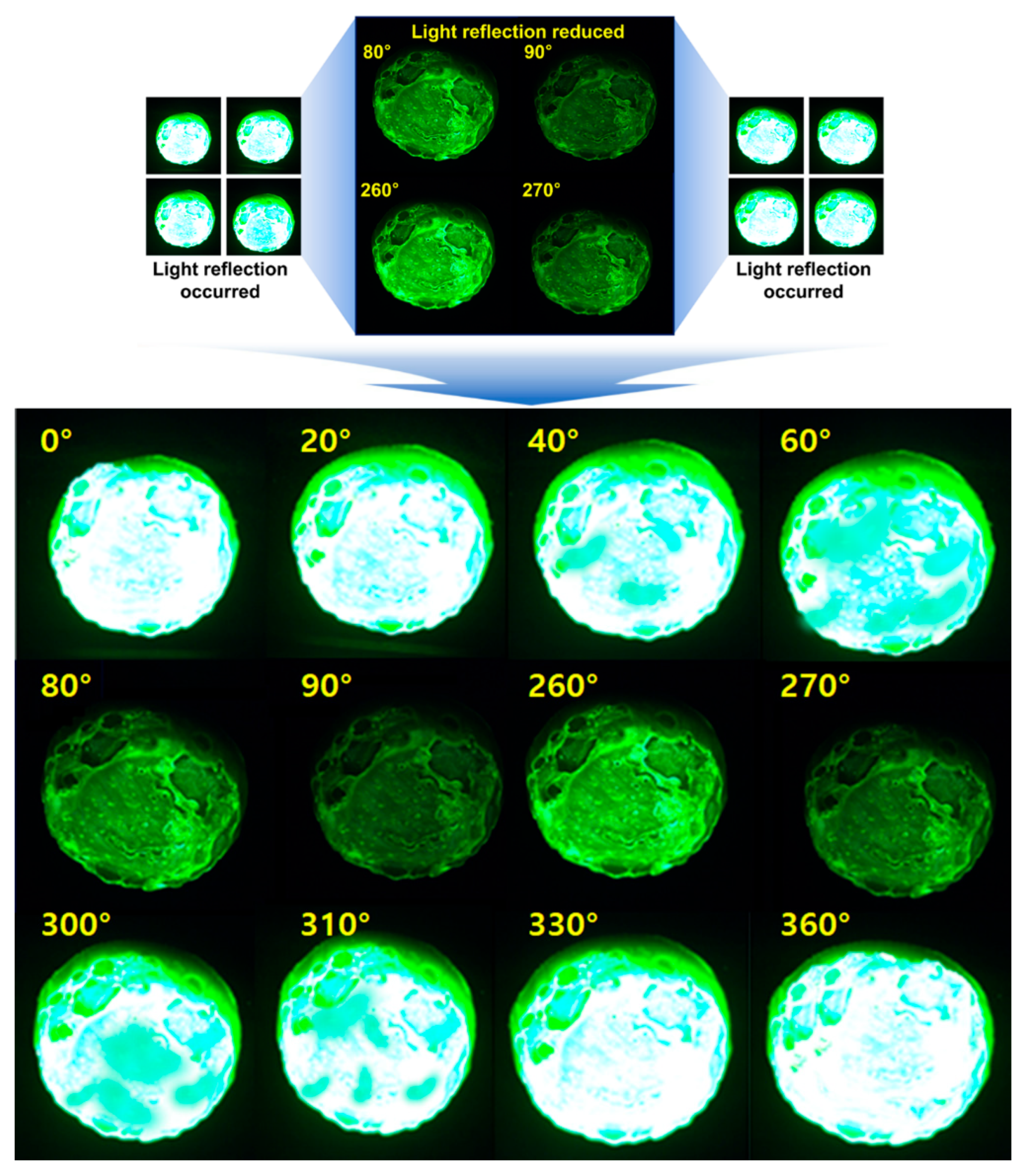 Diagnostics 14 01996 g017 Diagnostics 14 01996 g017