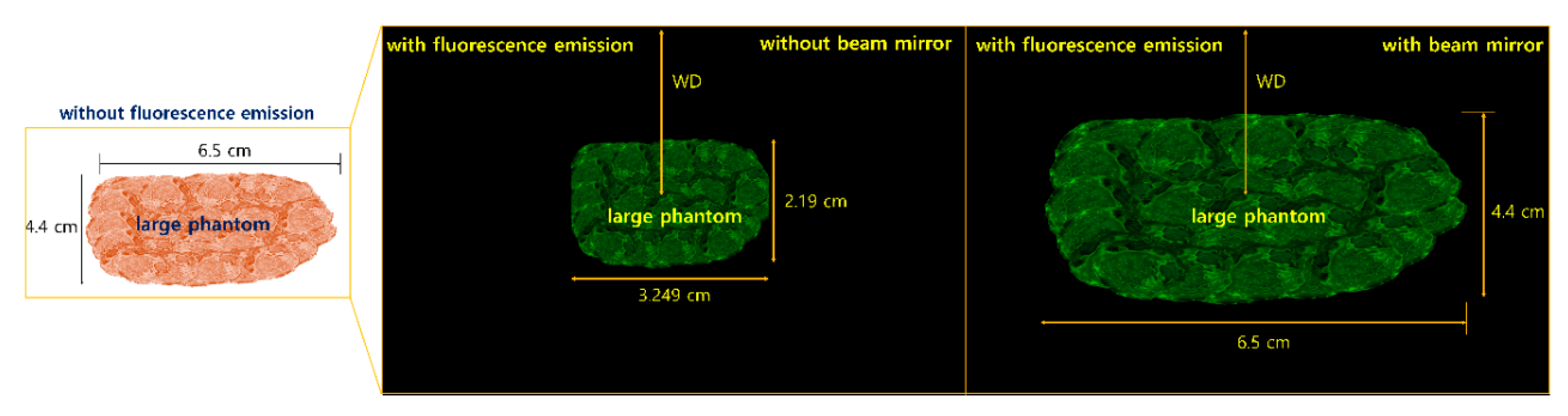 Diagnostics 14 01996 g018 Diagnostics 14 01996 g018