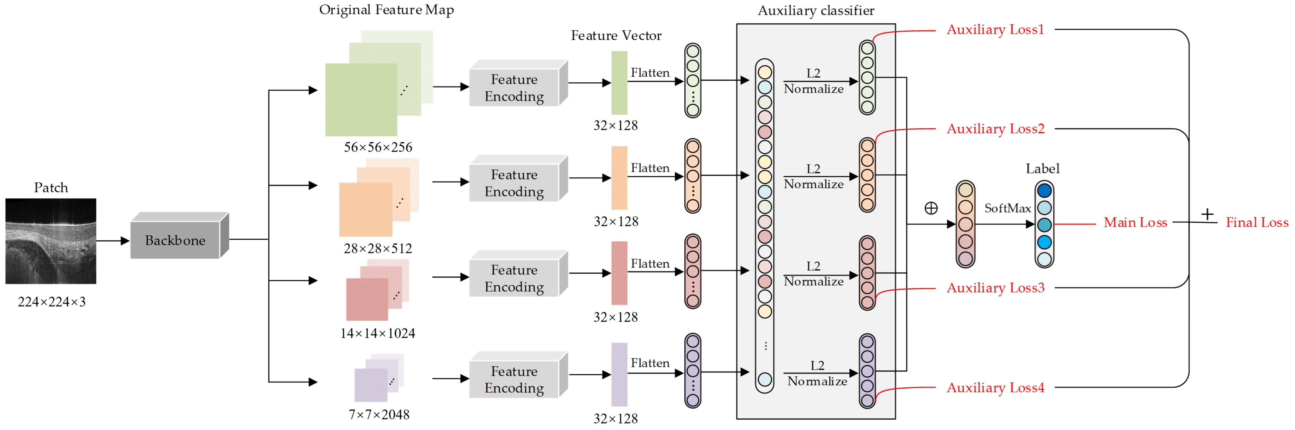 Diagnostics 14 02009 g001