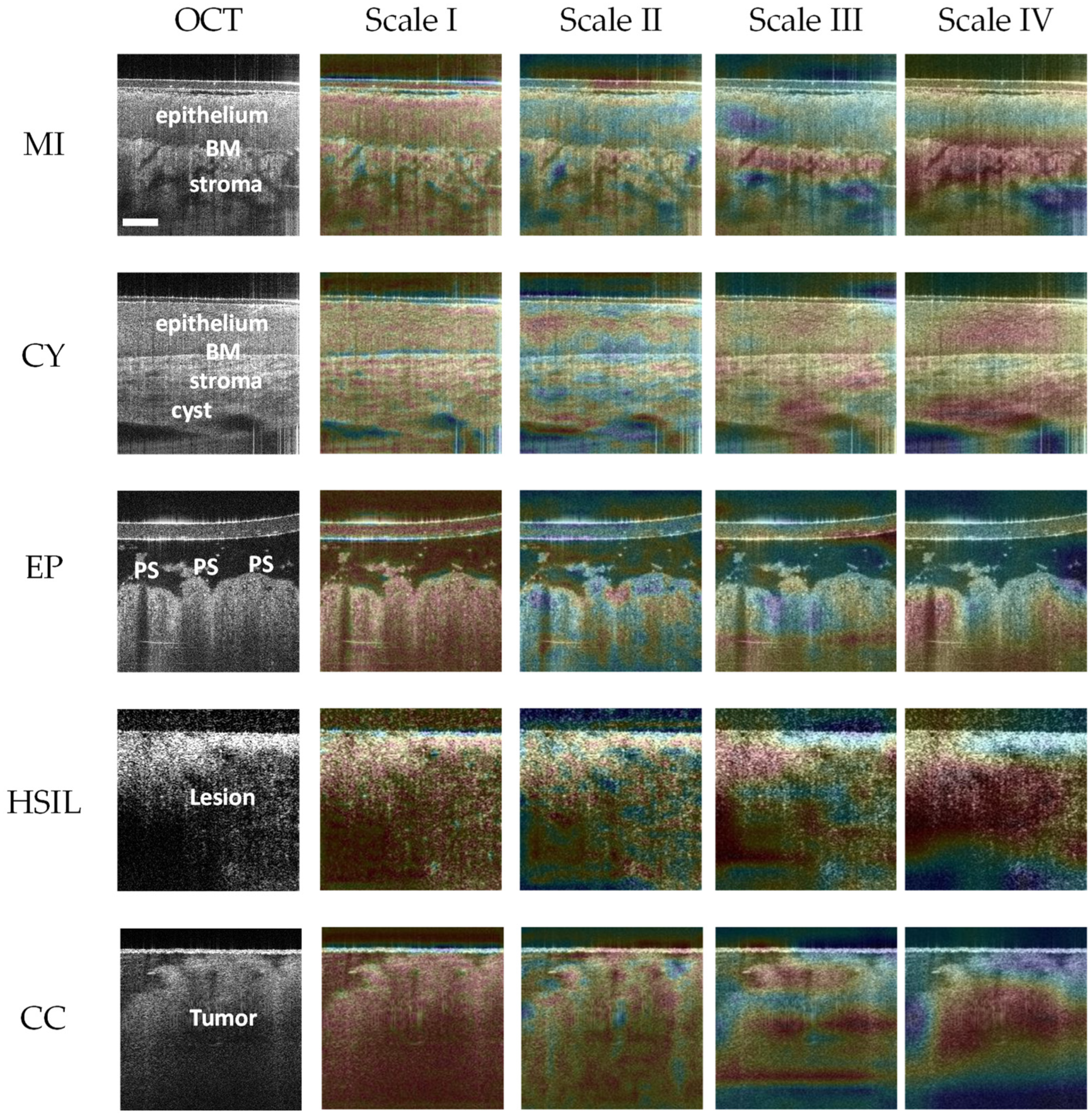 Diagnostics 14 02009 g005