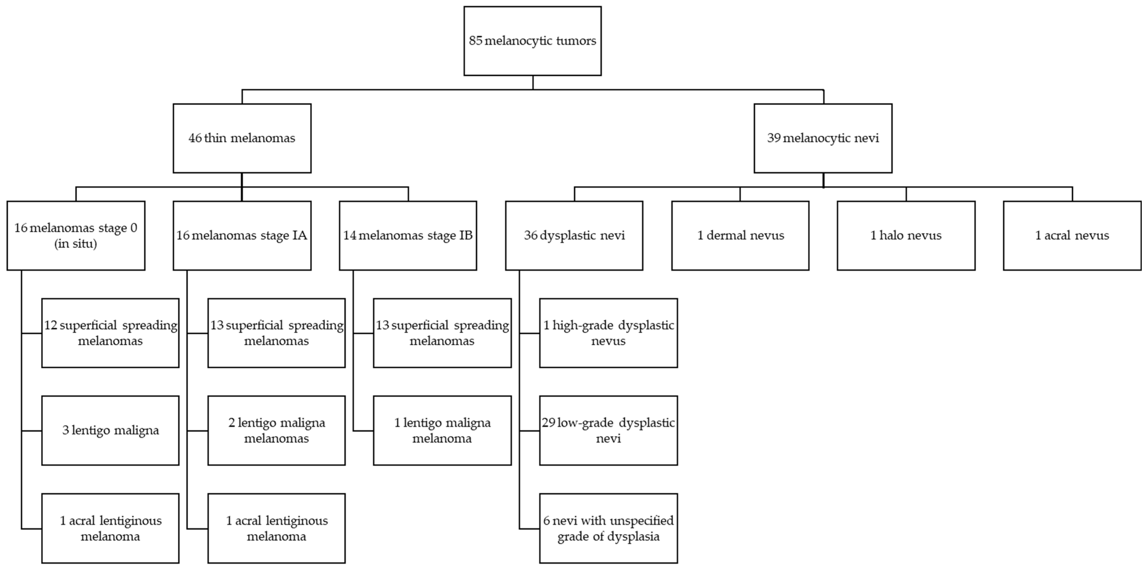 Diagnostics 14 02015 g001