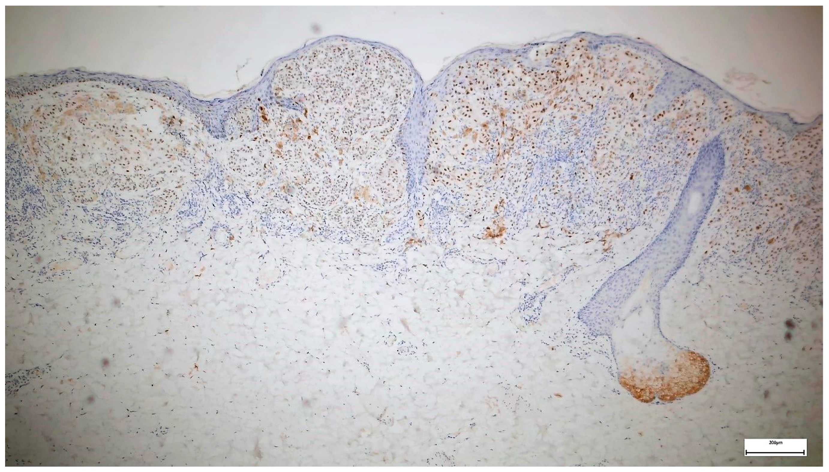 Diagnostics 14 02015 g002