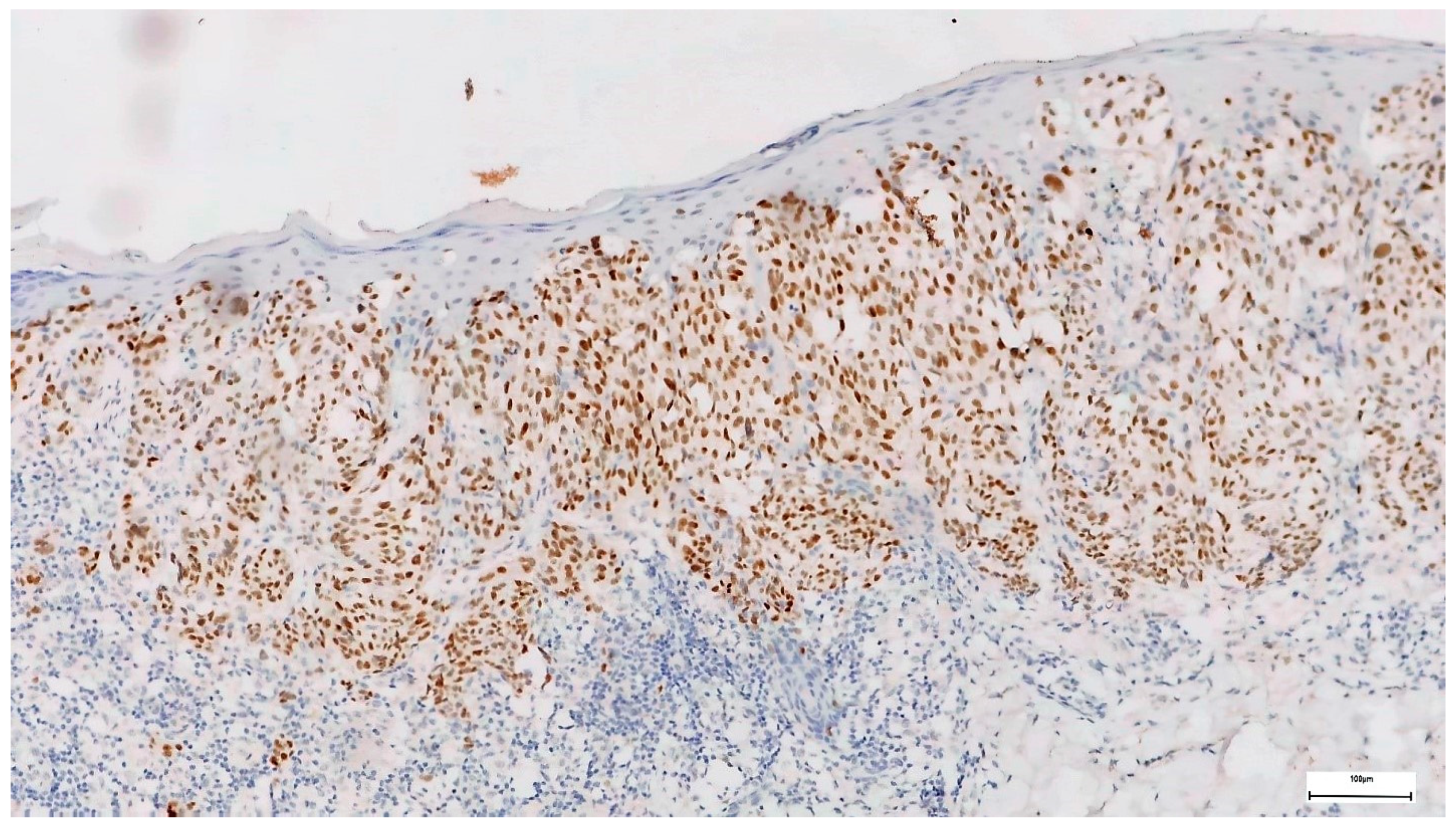 Diagnostics 14 02015 g003