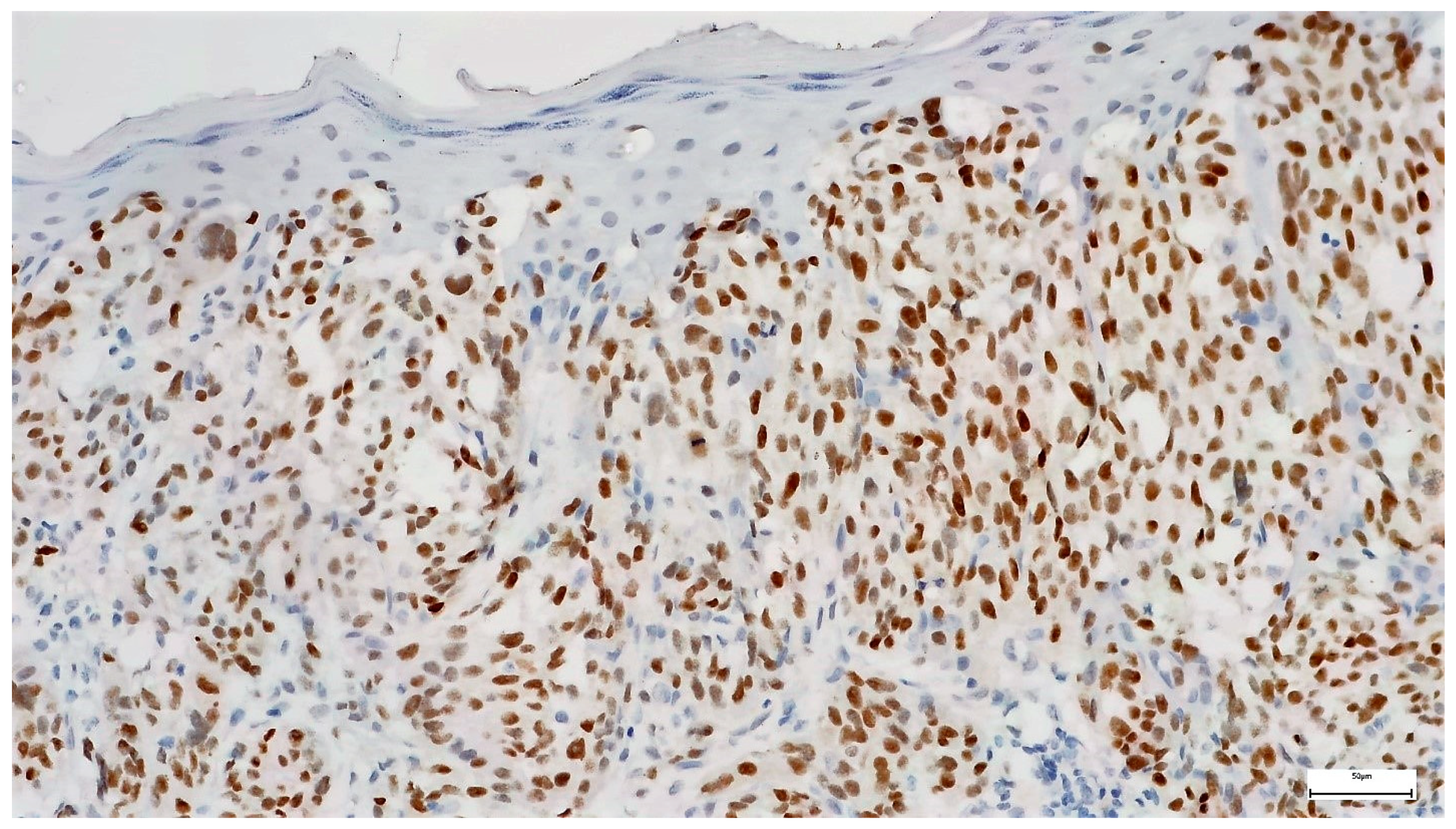 Diagnostics 14 02015 g004