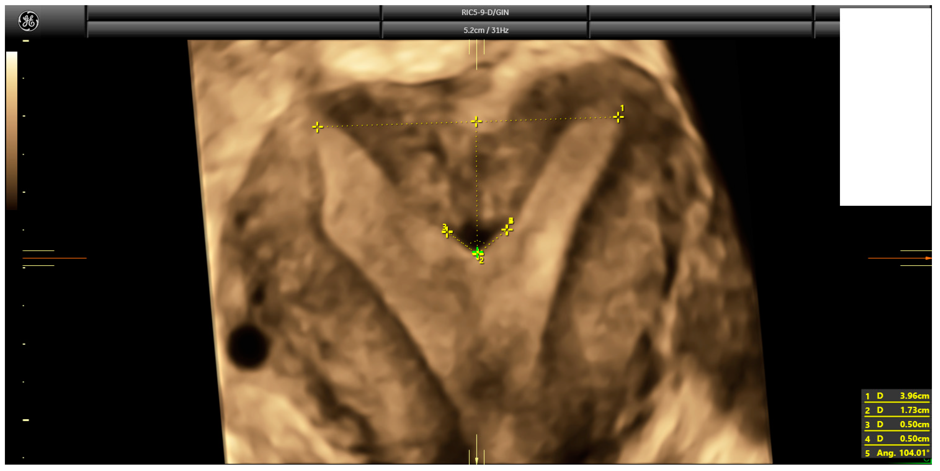 Diagnostics 14 02019 g001