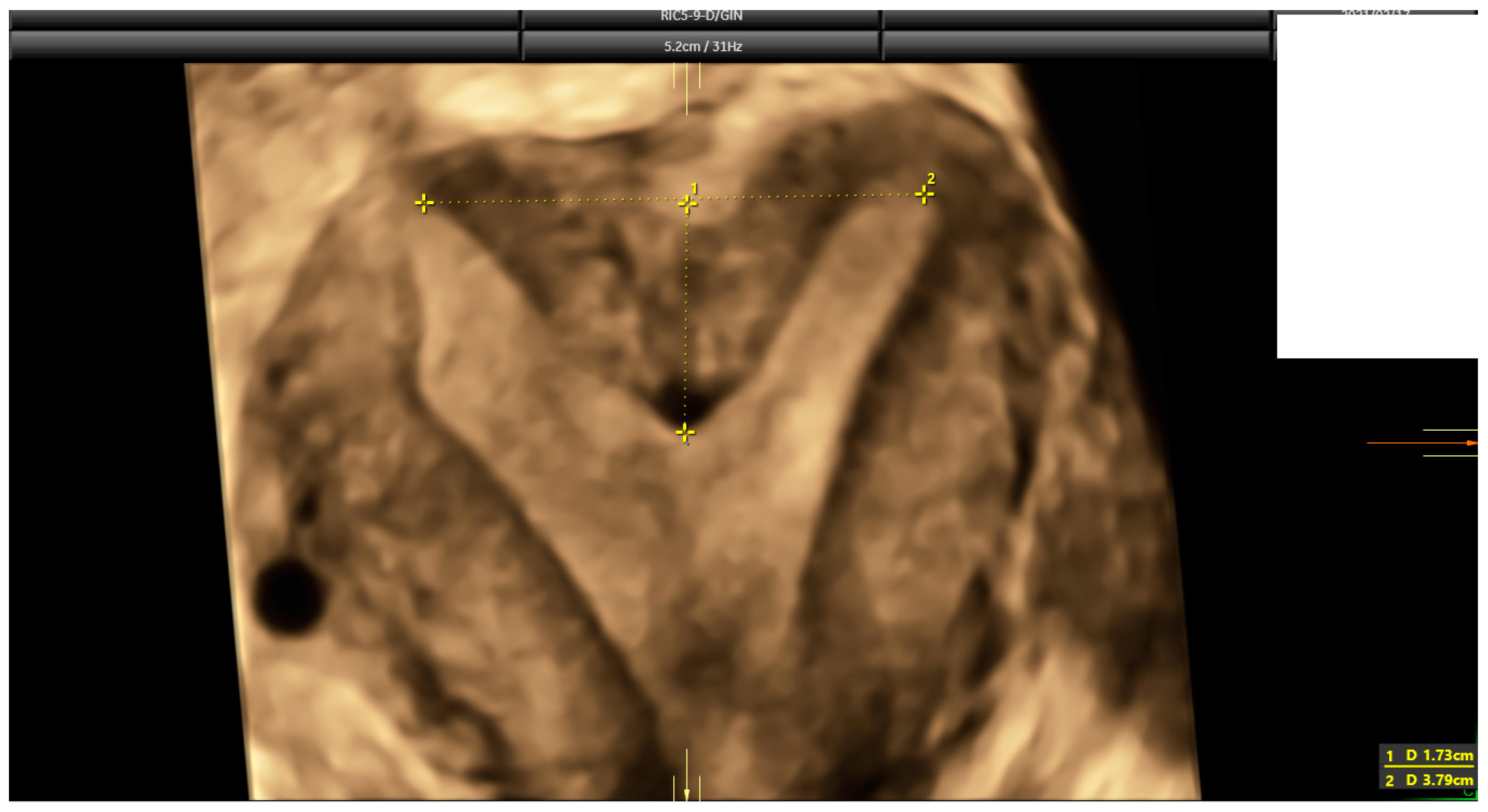 Diagnostics 14 02019 g004