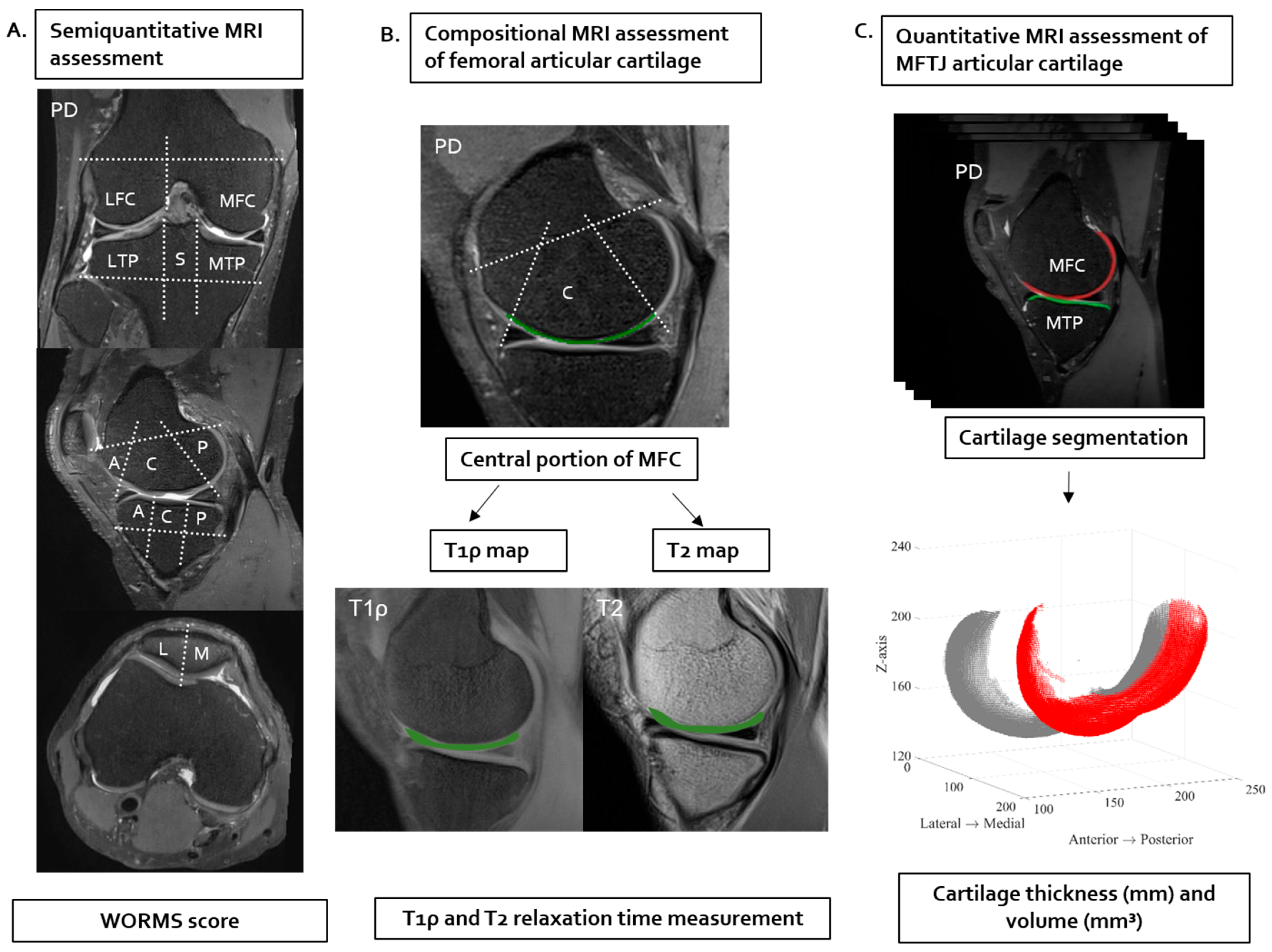 Diagnostics 14 02025 g002
