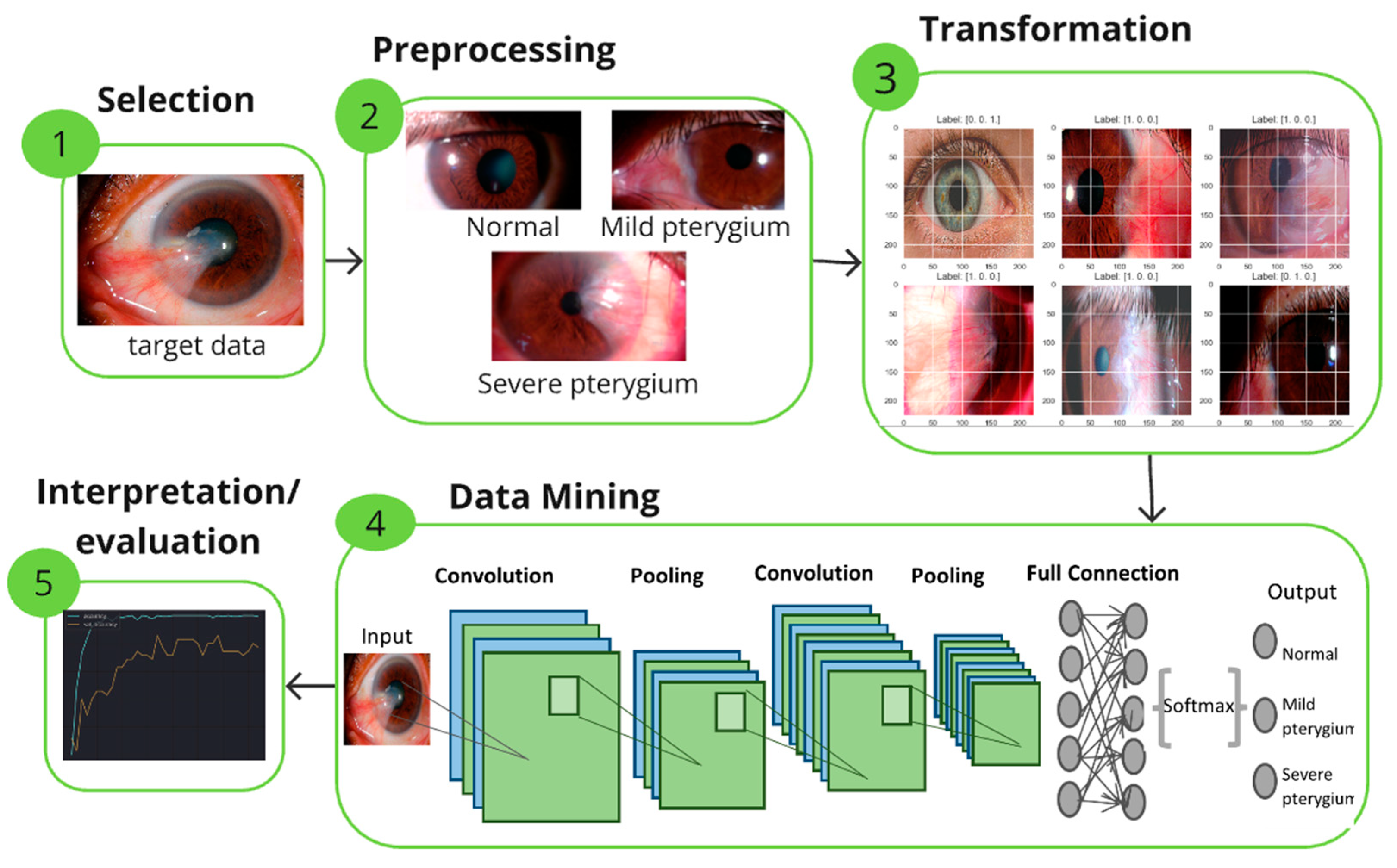 Diagnostics 14 02026 g002