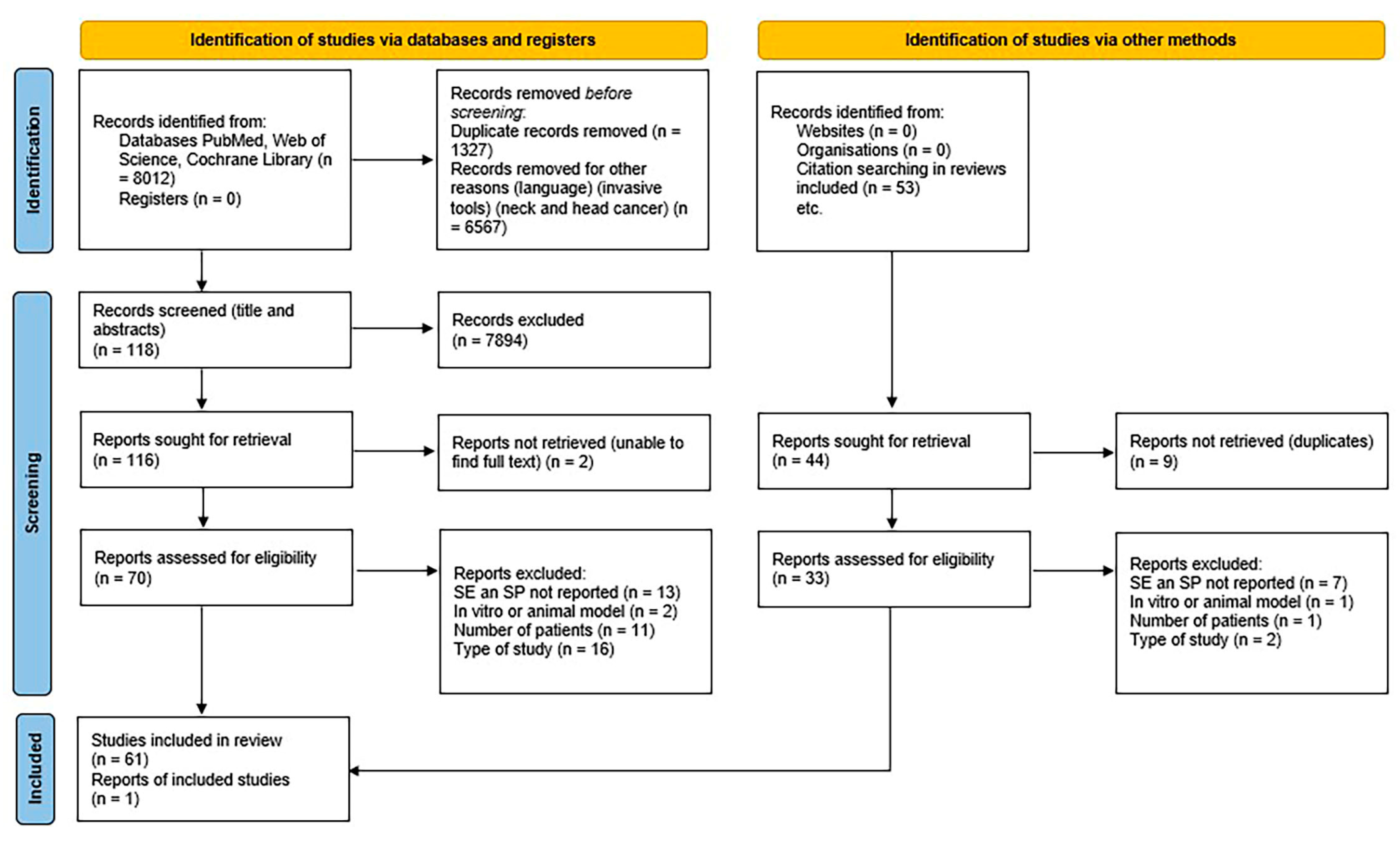 Diagnostics 14 02033 g001 Diagnostics 14 02033 g001